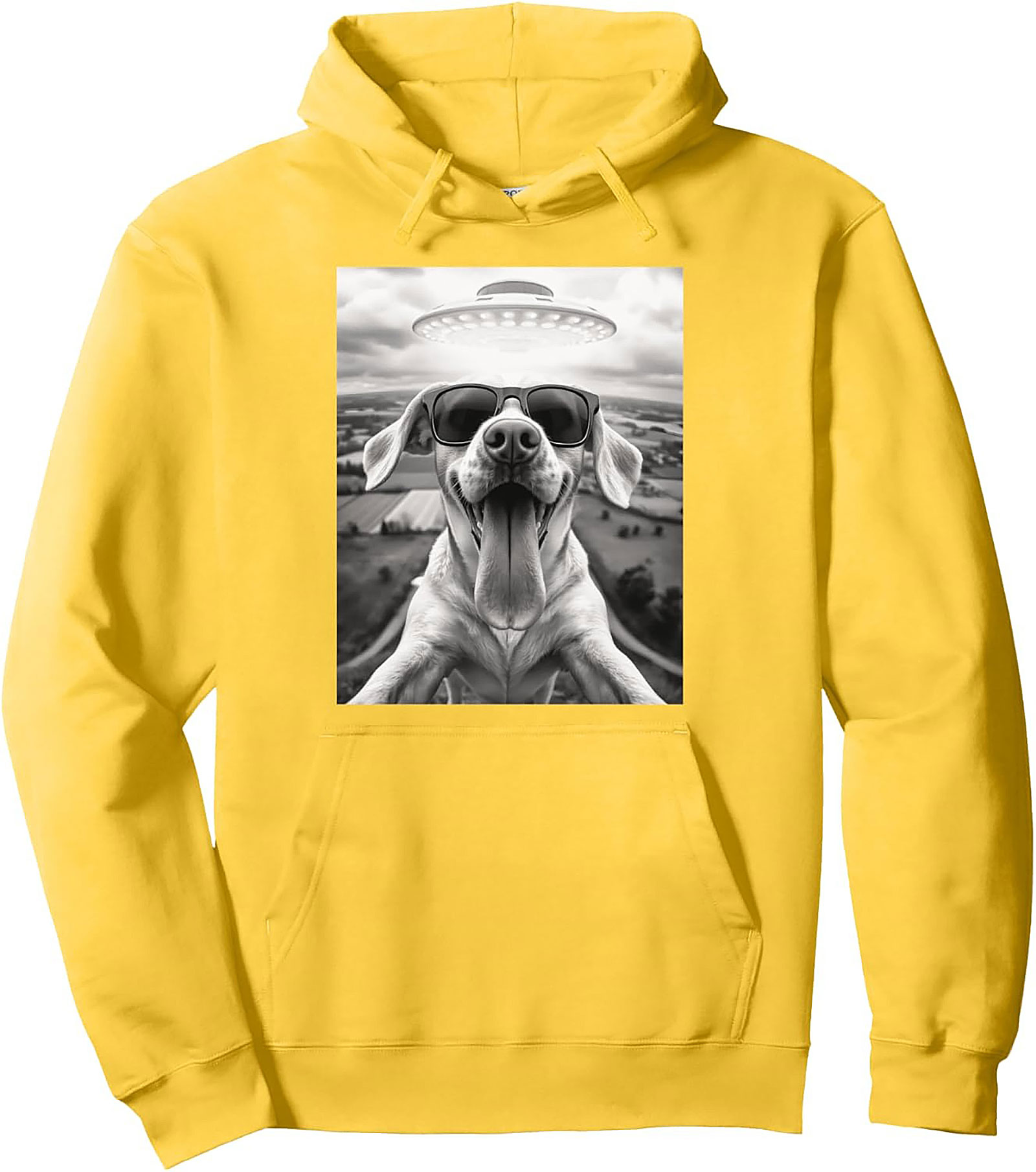 The Coolest Dog in the Galaxy Funny Alien Dog Graphic Hoodie