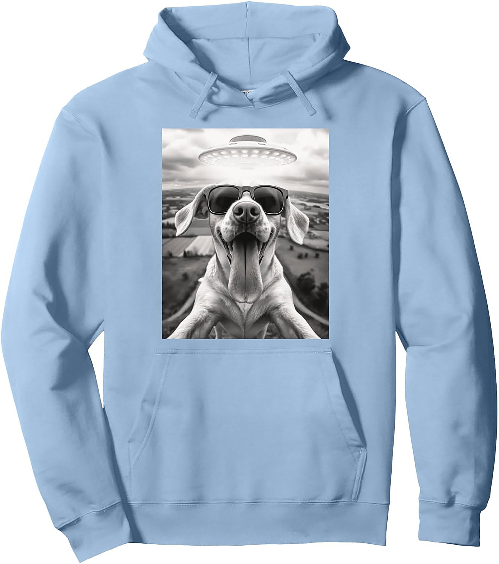 The Coolest Dog in the Galaxy Funny Alien Dog Graphic Hoodie