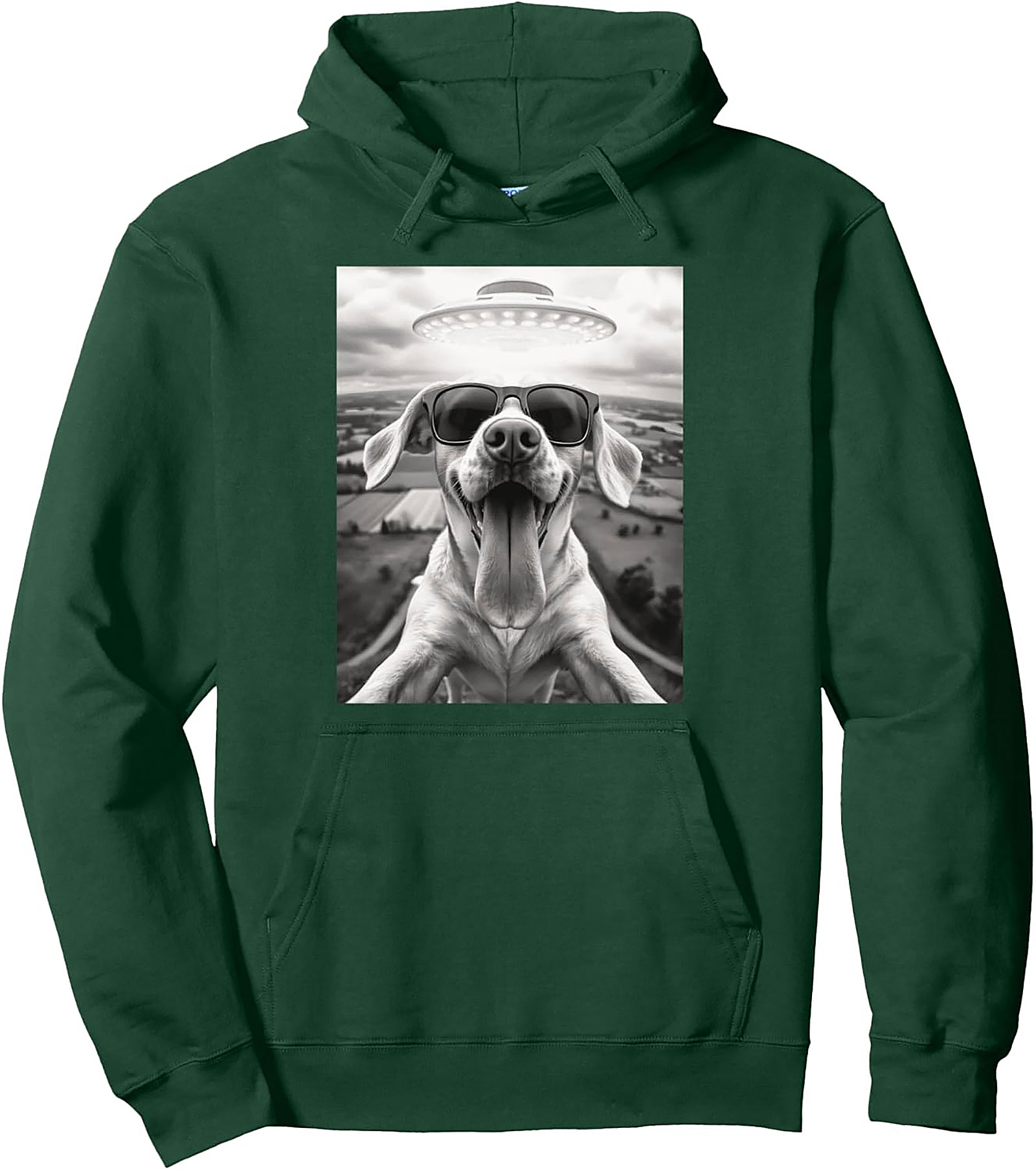 The Coolest Dog in the Galaxy Funny Alien Dog Graphic Hoodie