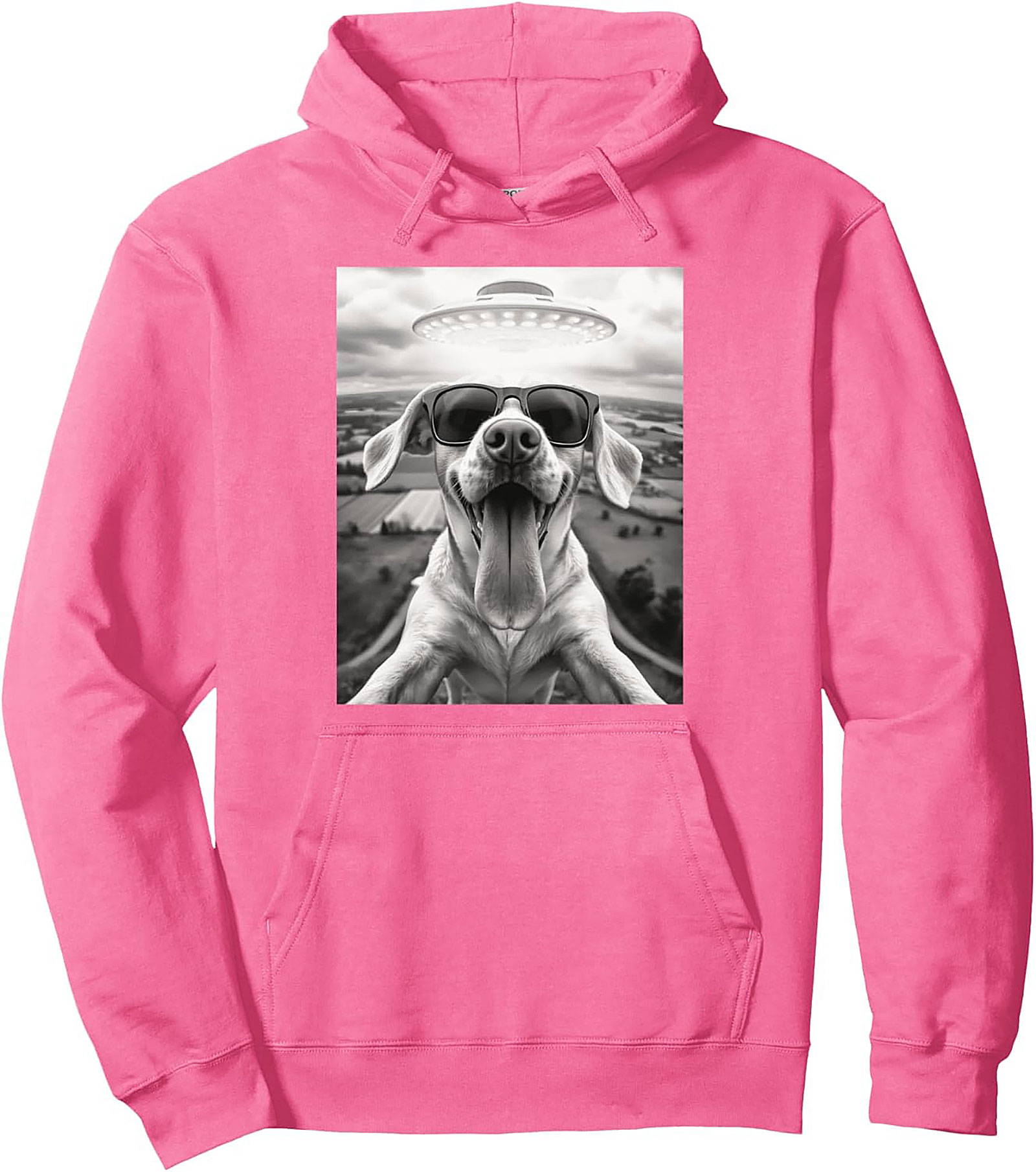 The Coolest Dog in the Galaxy Funny Alien Dog Graphic Hoodie