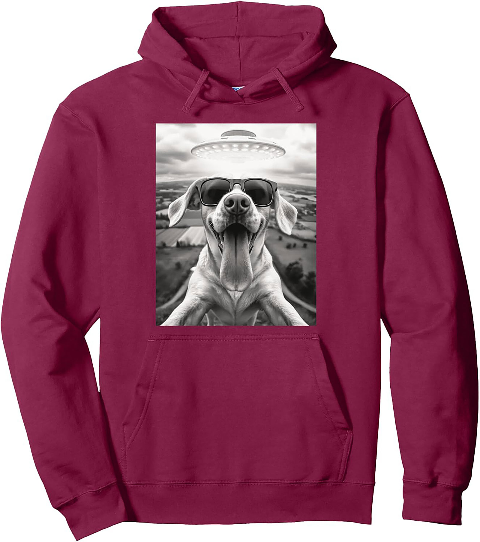 The Coolest Dog in the Galaxy Funny Alien Dog Graphic Hoodie