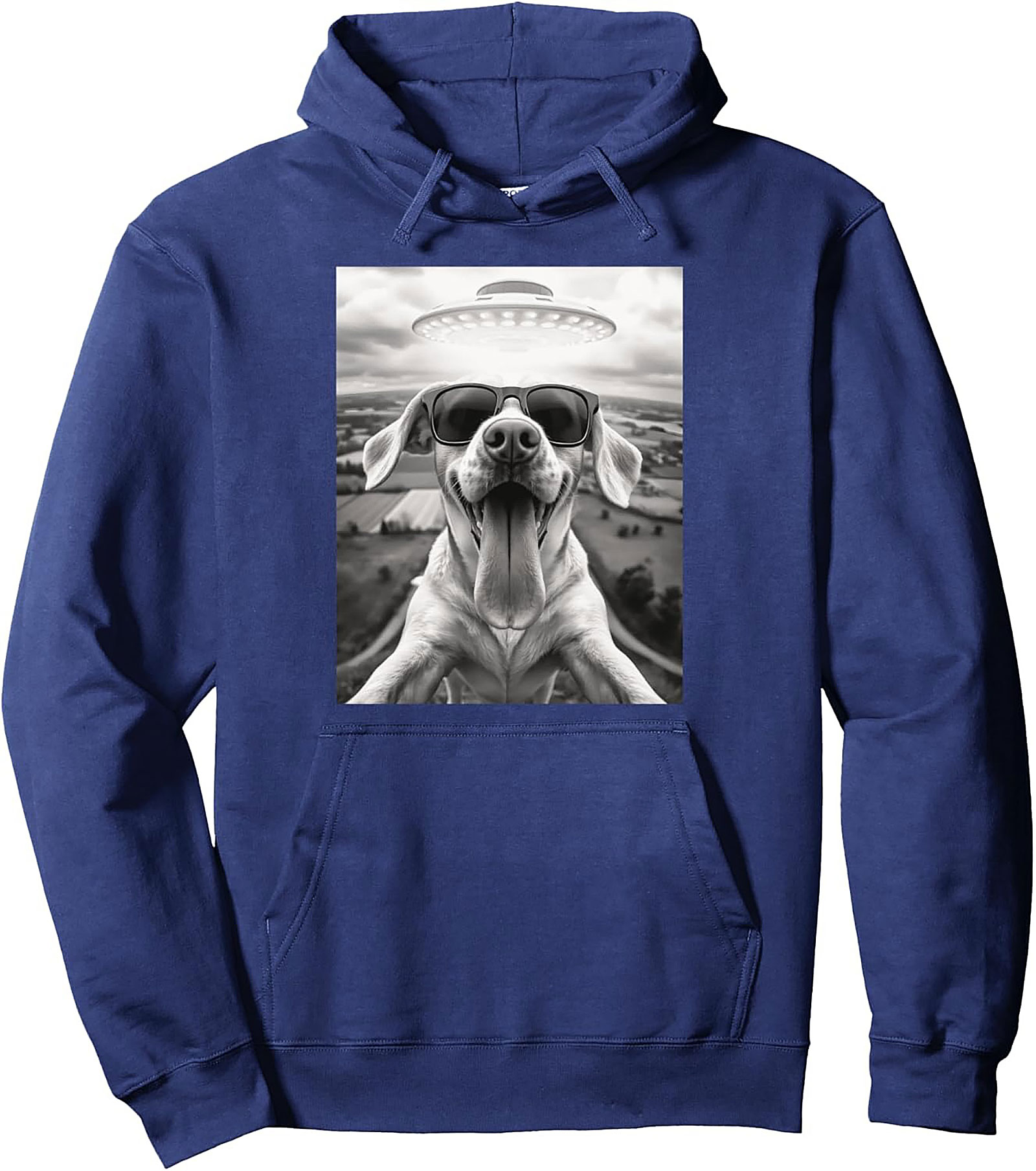 The Coolest Dog in the Galaxy Funny Alien Dog Graphic Hoodie
