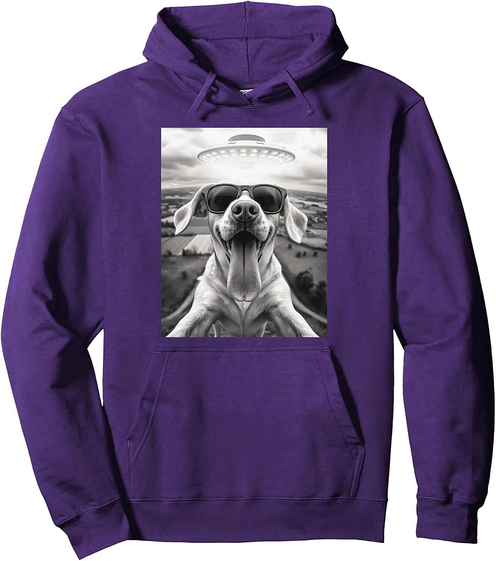 The Coolest Dog in the Galaxy Funny Alien Dog Graphic Hoodie