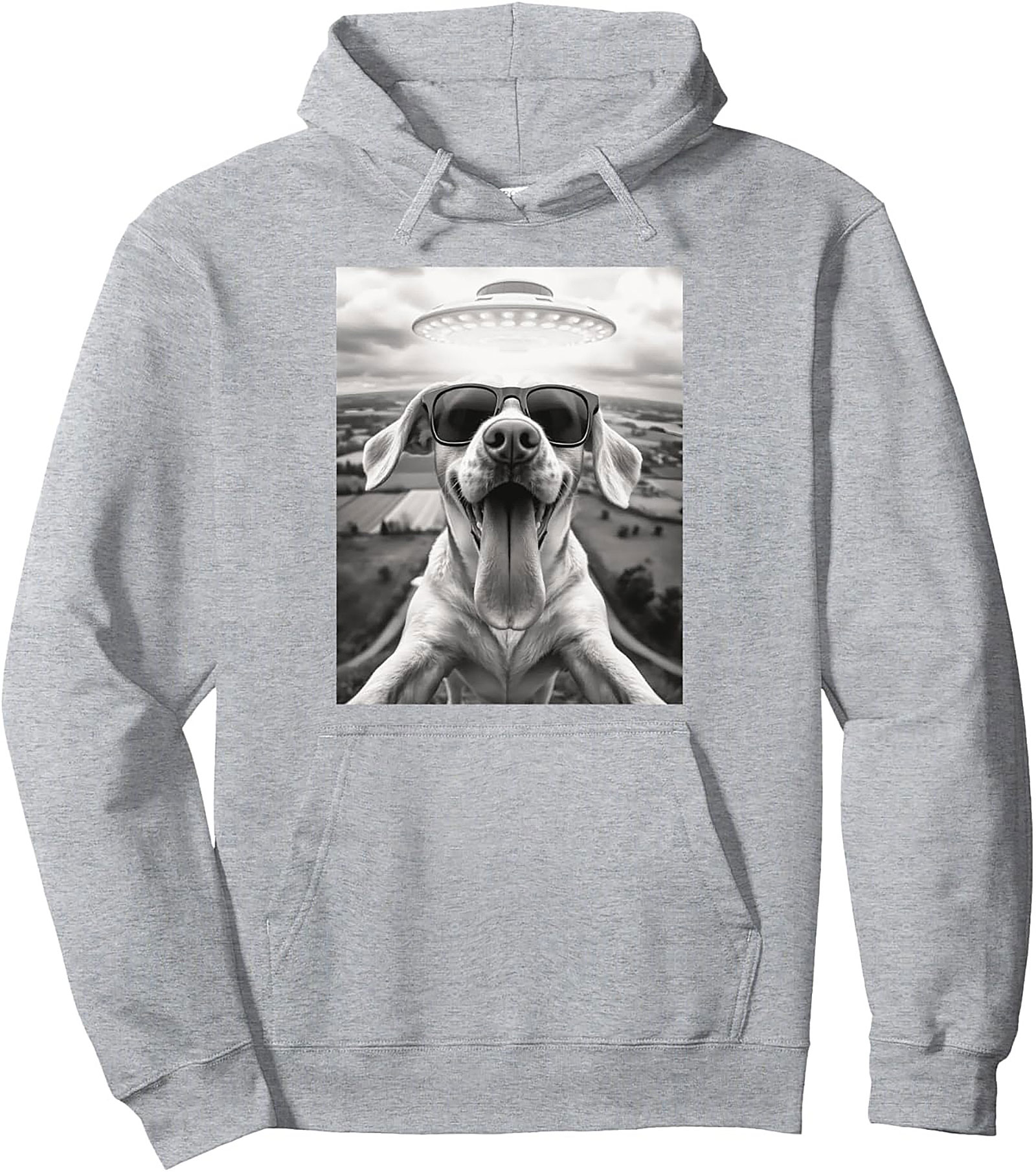 The Coolest Dog in the Galaxy Funny Alien Dog Graphic Hoodie