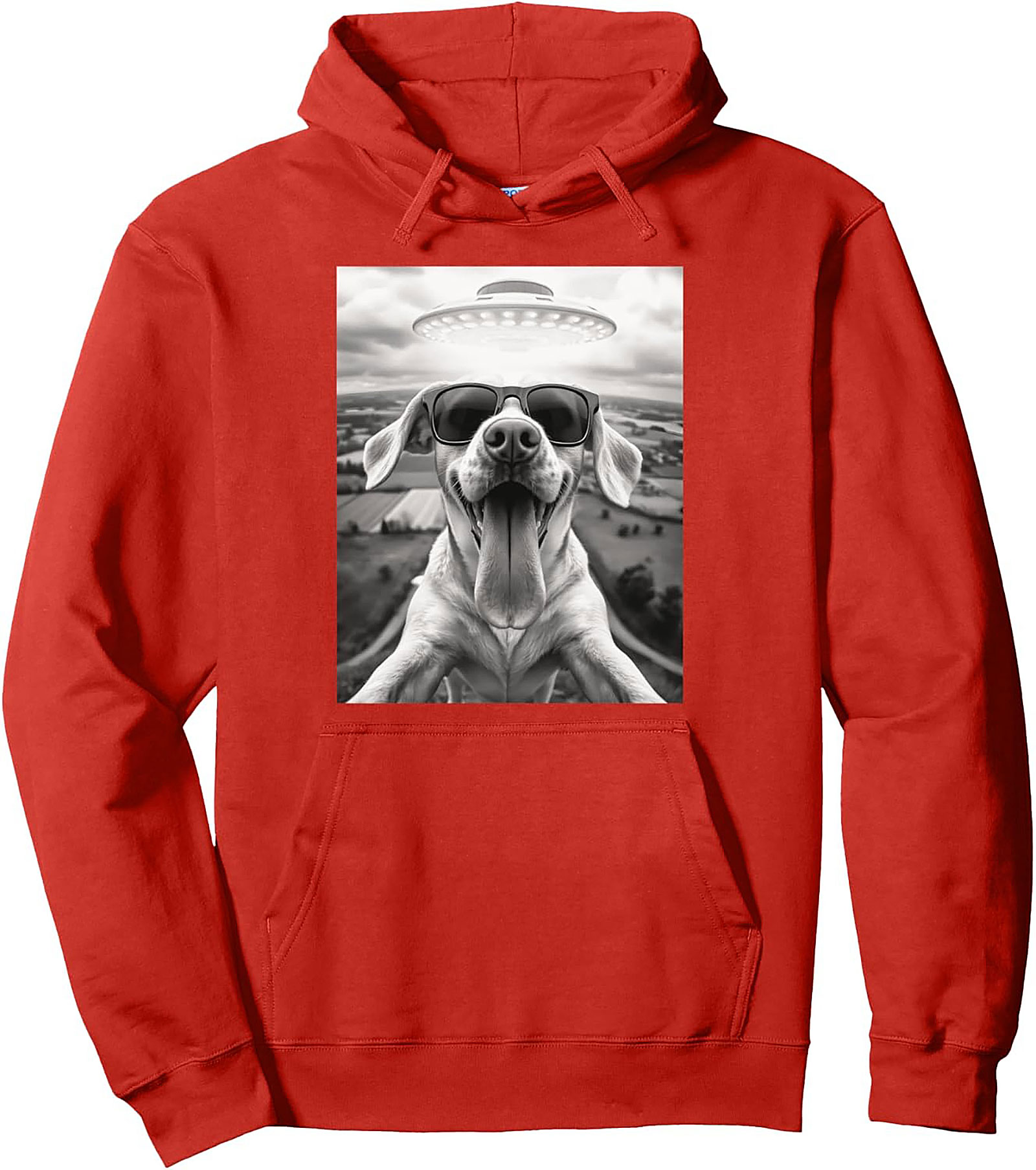 The Coolest Dog in the Galaxy Funny Alien Dog Graphic Hoodie