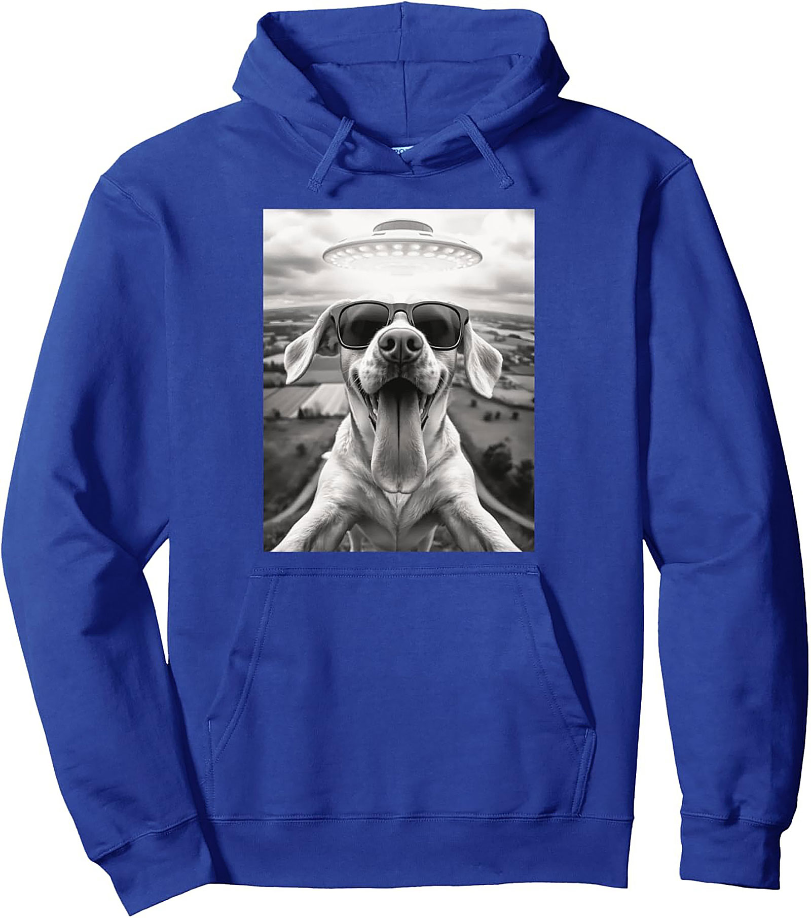 The Coolest Dog in the Galaxy Funny Alien Dog Graphic Hoodie