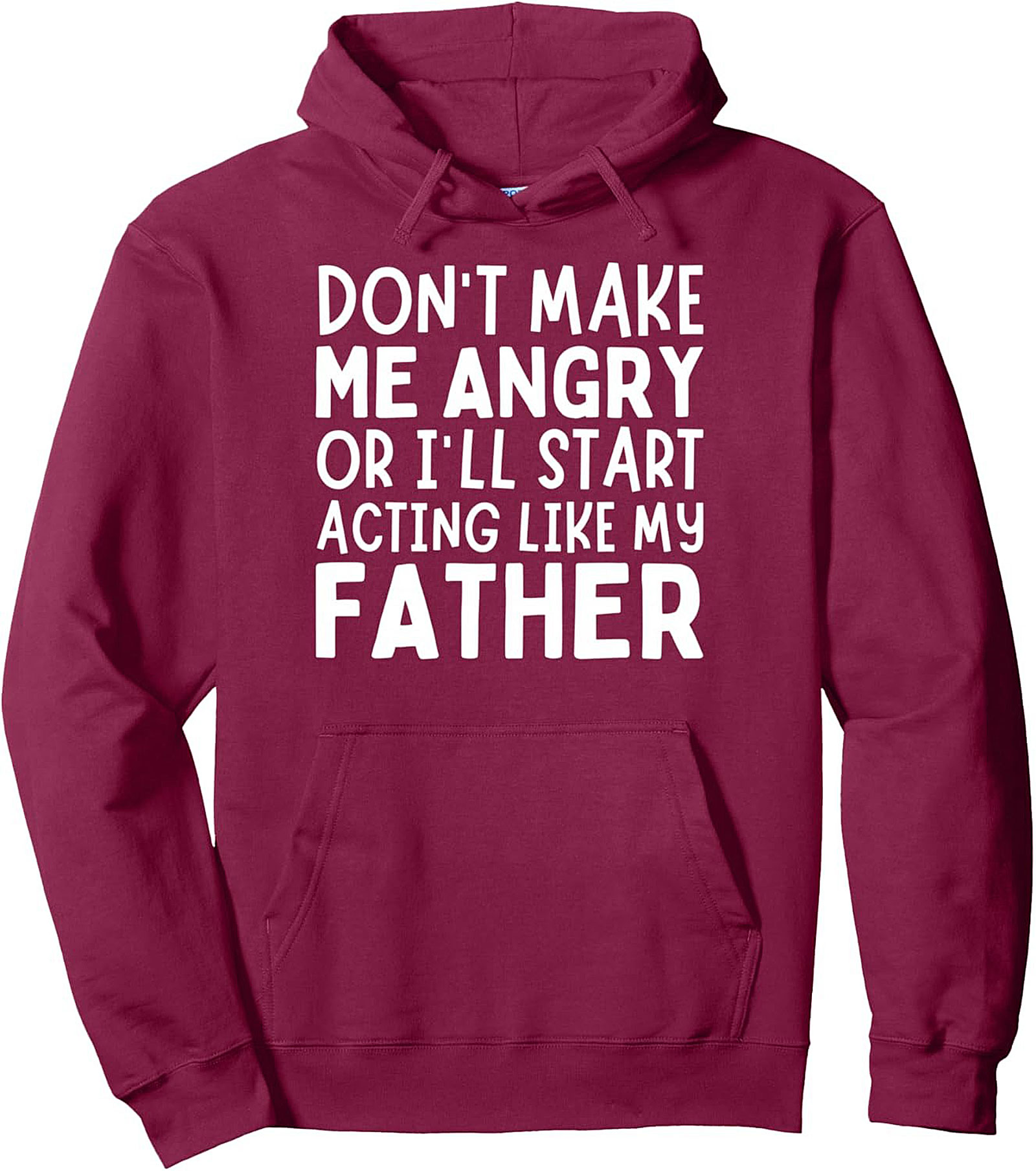 Funny Father Slogan Pullover Hoodie Dad Humor Gift