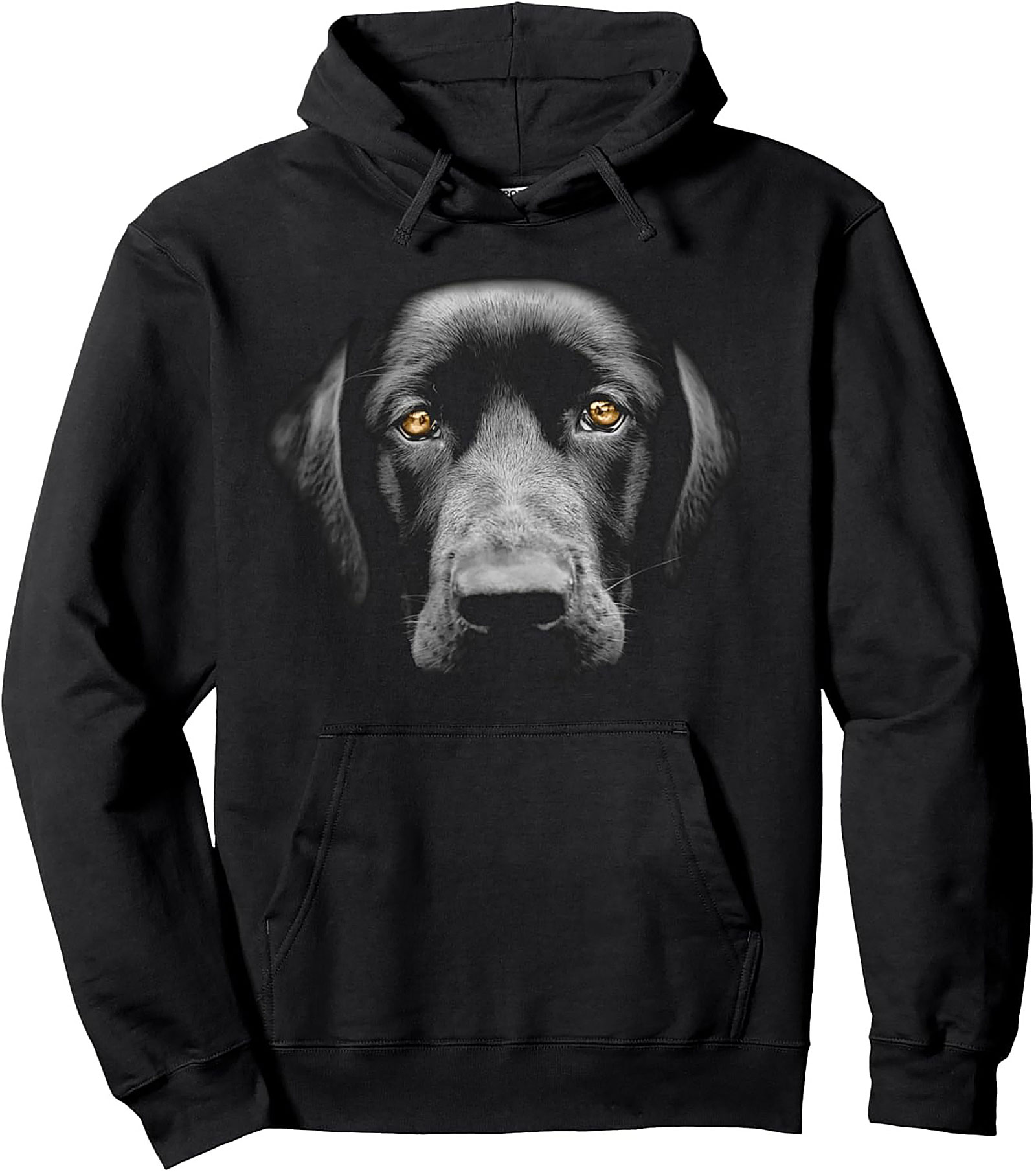 Black Lab Graphic Hoodie: Intense Amber Eyes Pullover