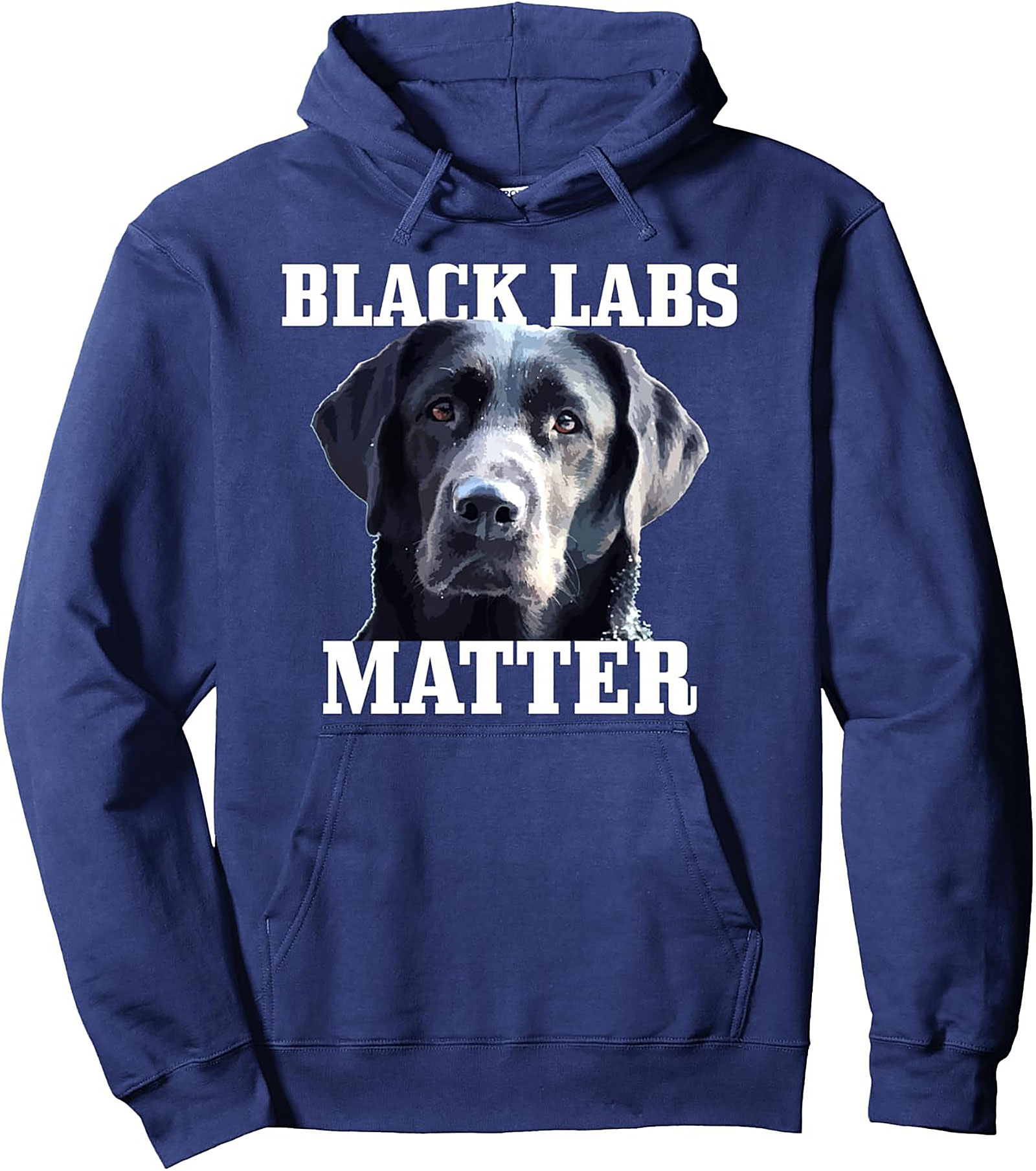 Black Labs Matter Pullover Hoodie | The Ultimate Dog Lover Graphic Hoodie
