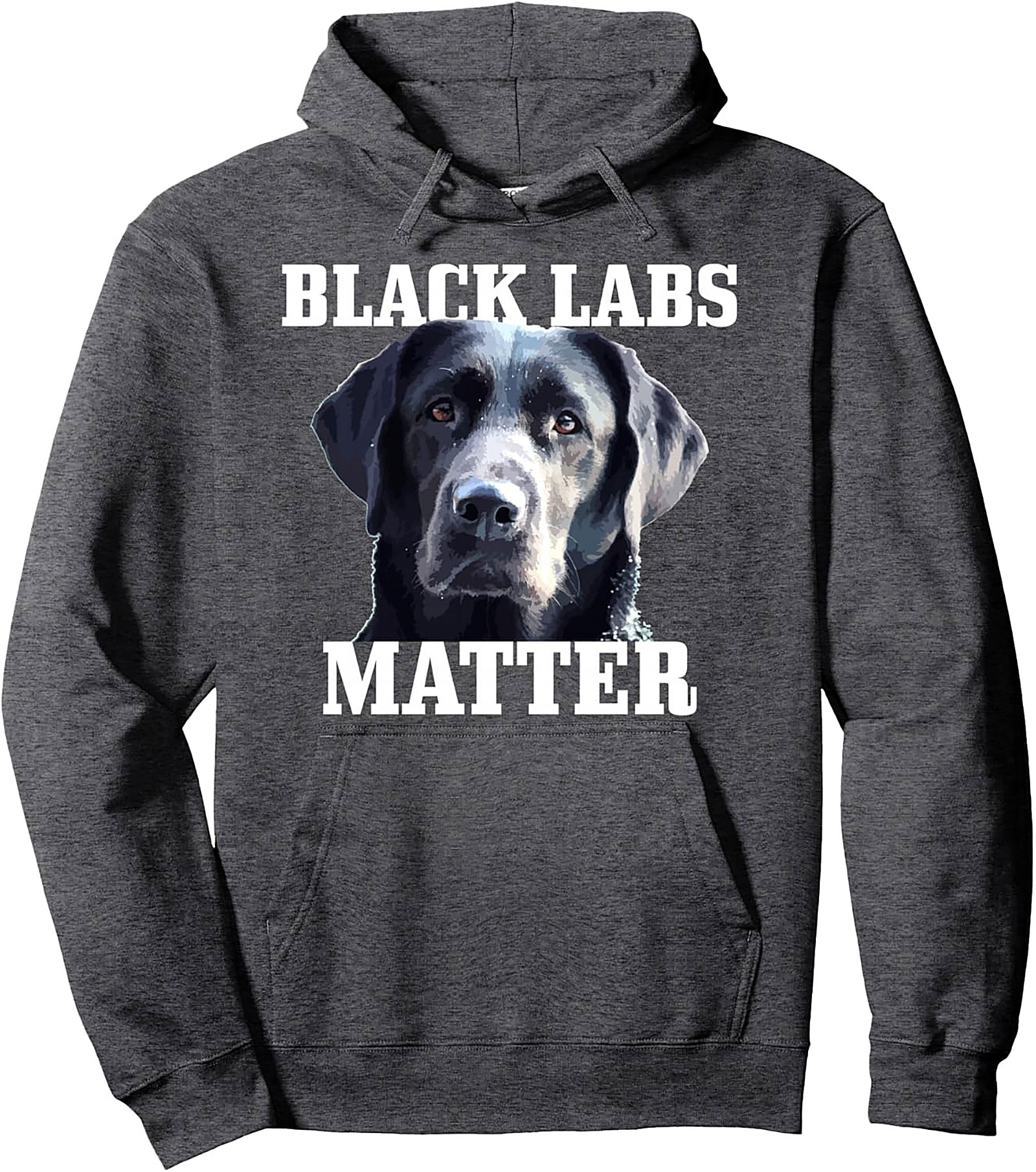 Black Labs Matter Pullover Hoodie | The Ultimate Dog Lover Graphic Hoodie