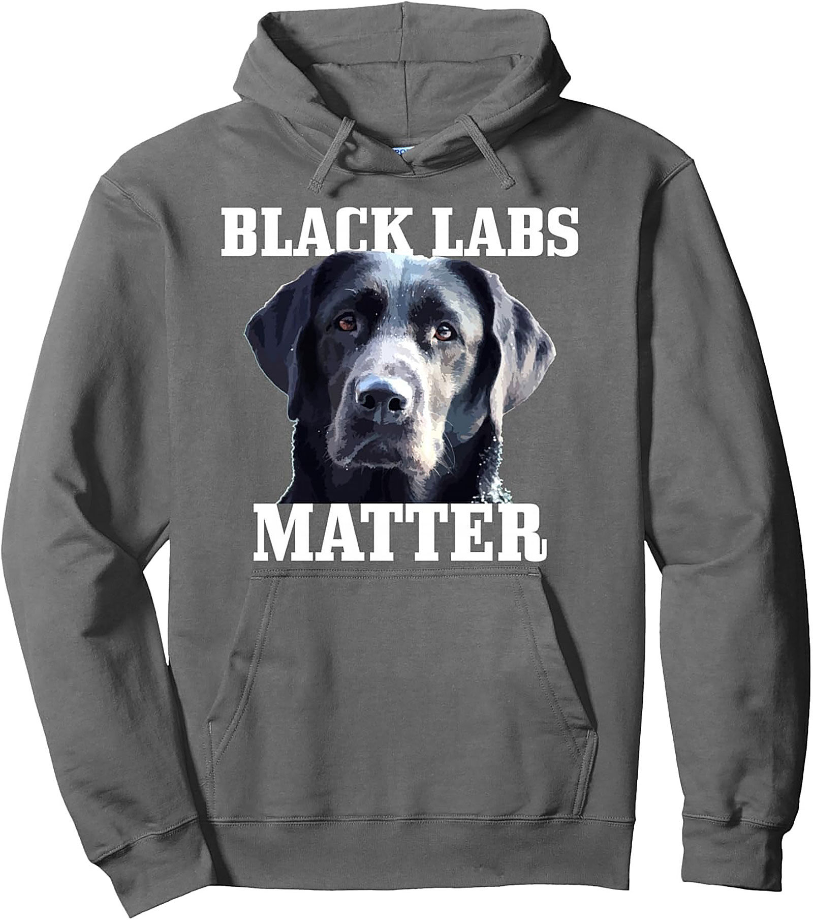 Black Labs Matter Pullover Hoodie | The Ultimate Dog Lover Graphic Hoodie