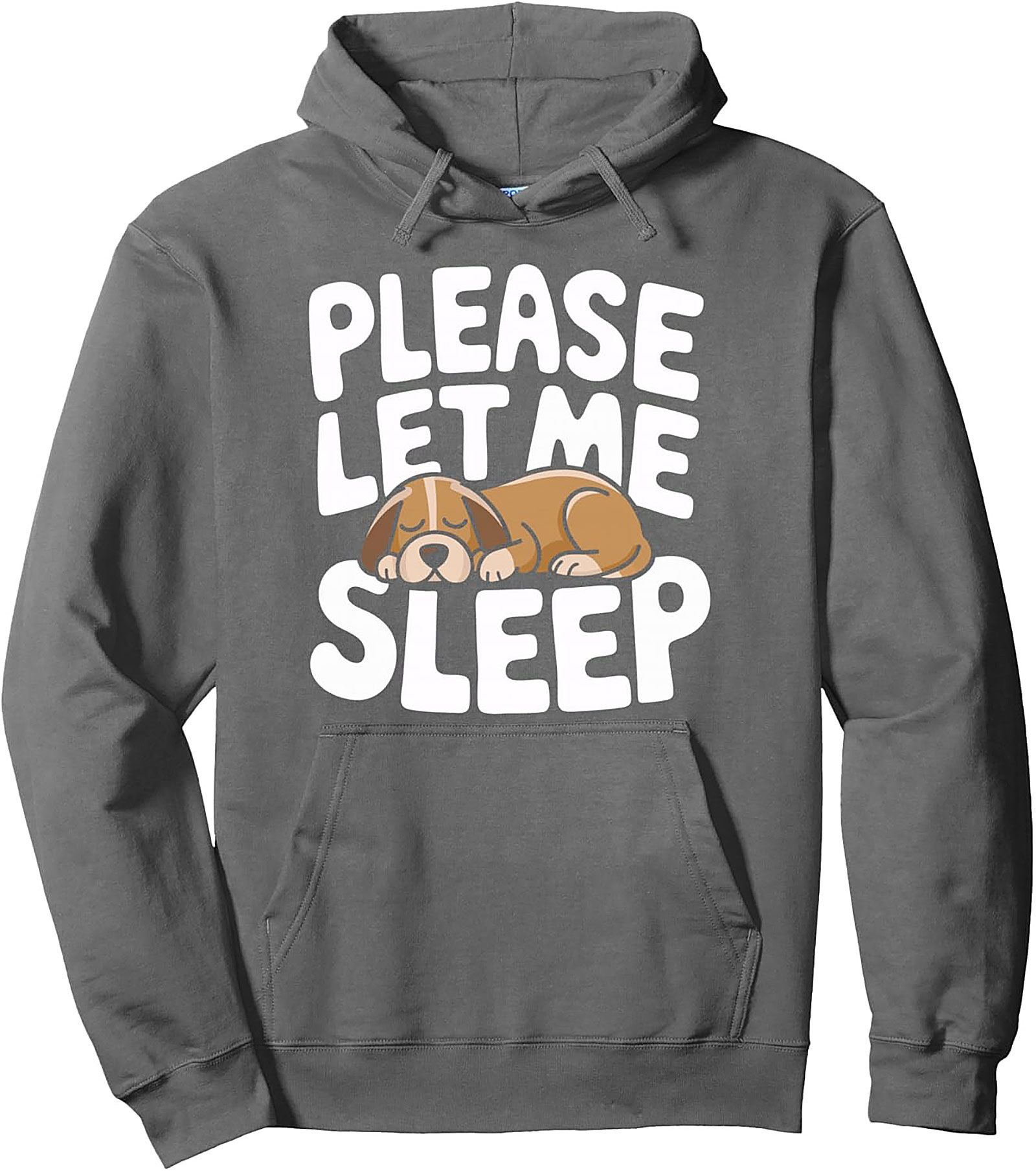 Sleeping Dog Pullover Hoodie: "Please Let Me Sleep" Cozy Graphic Hoodie
