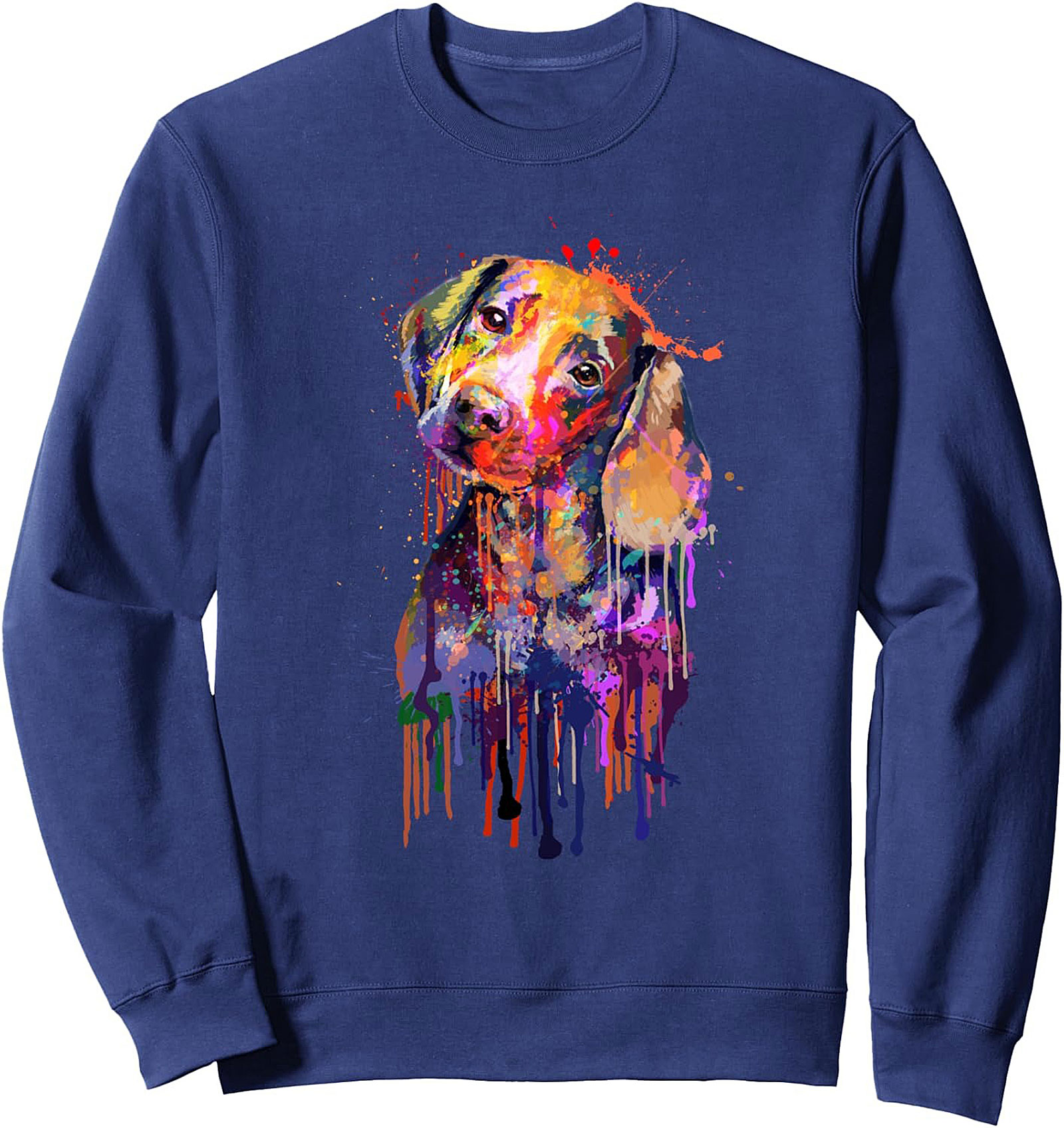 Colorful Dachshund Graphic Sweatshirt | Abstract Watercolor Dog Pullover