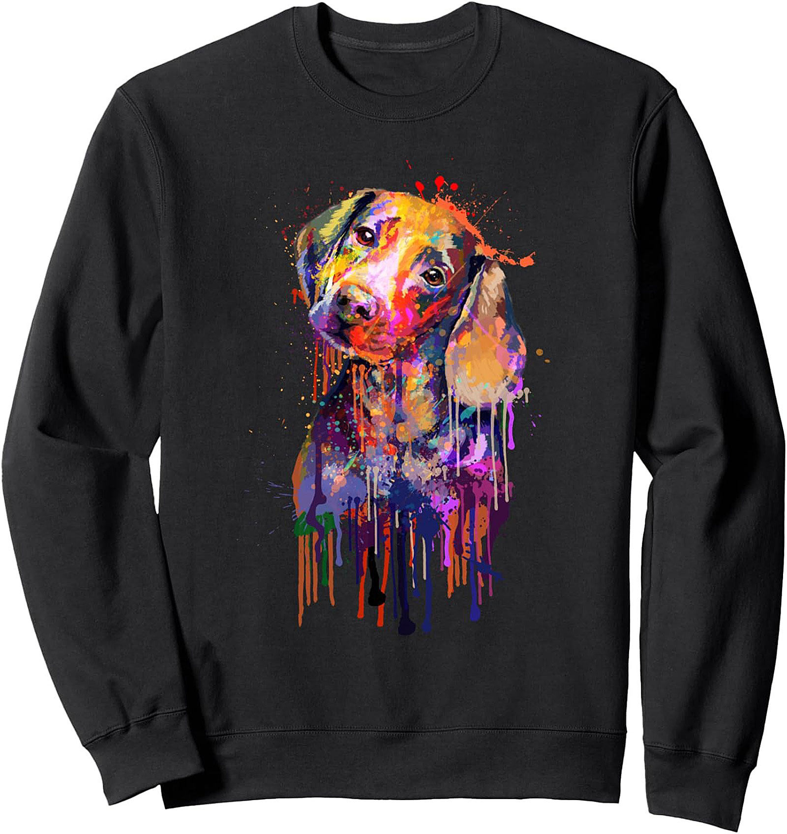Colorful Dachshund Graphic Sweatshirt | Abstract Watercolor Dog Pullover