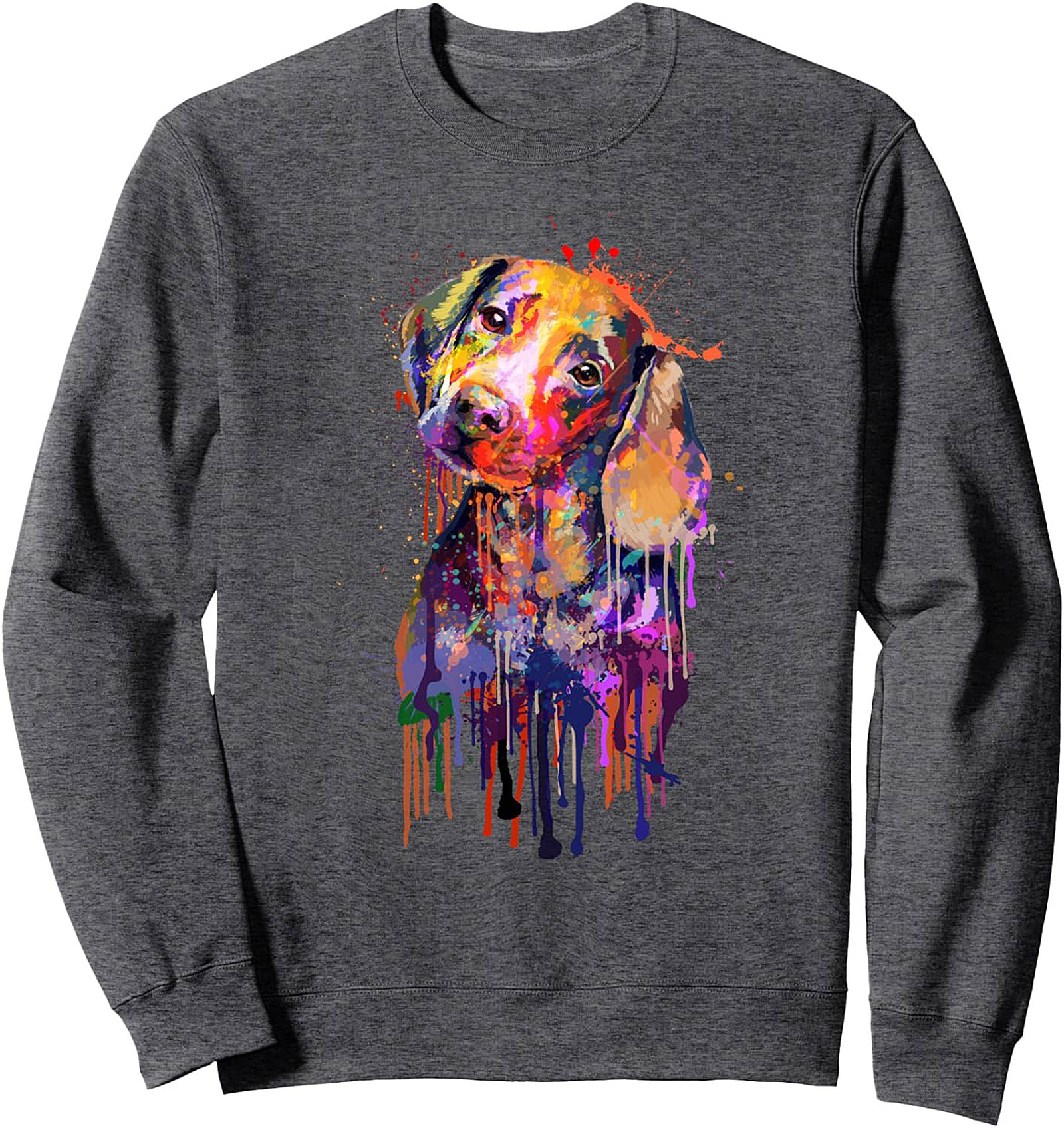 Colorful Dachshund Graphic Sweatshirt | Abstract Watercolor Dog Pullover