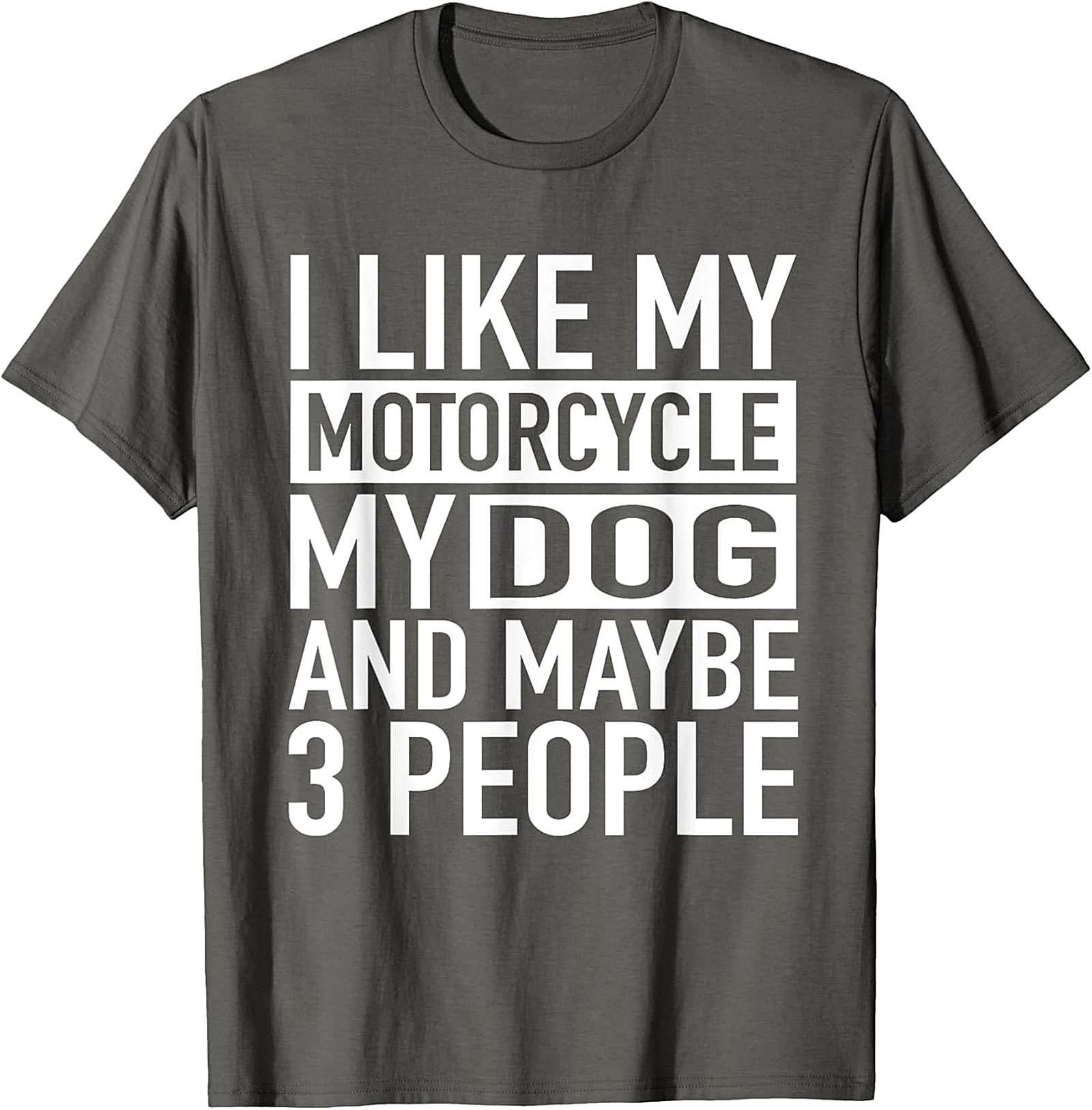 I Like My Motorcycle My Dog and Maybe 3 People T-Shirt | Funny Biker Graphic Tee