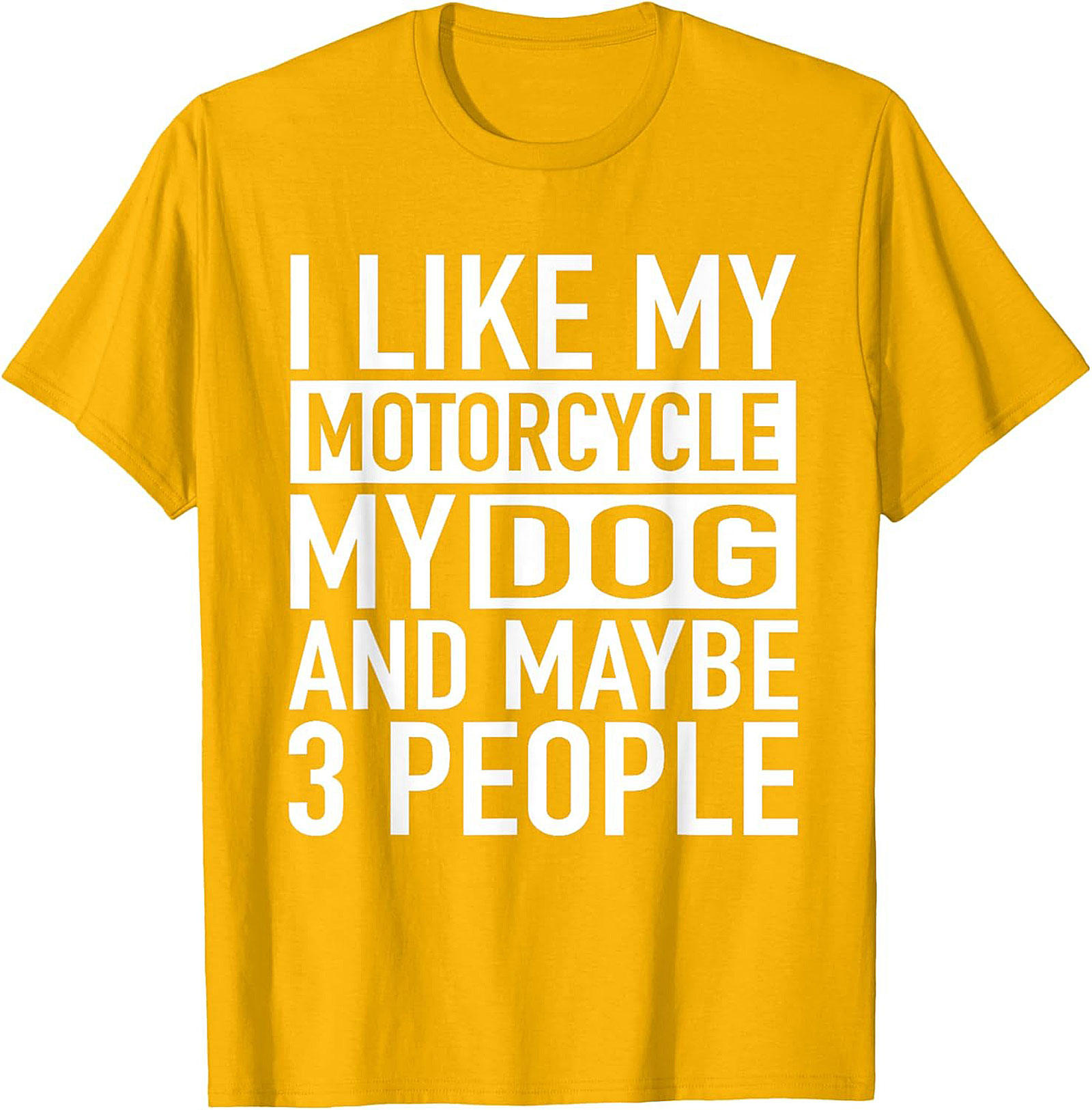 I Like My Motorcycle My Dog and Maybe 3 People T-Shirt | Funny Biker Graphic Tee