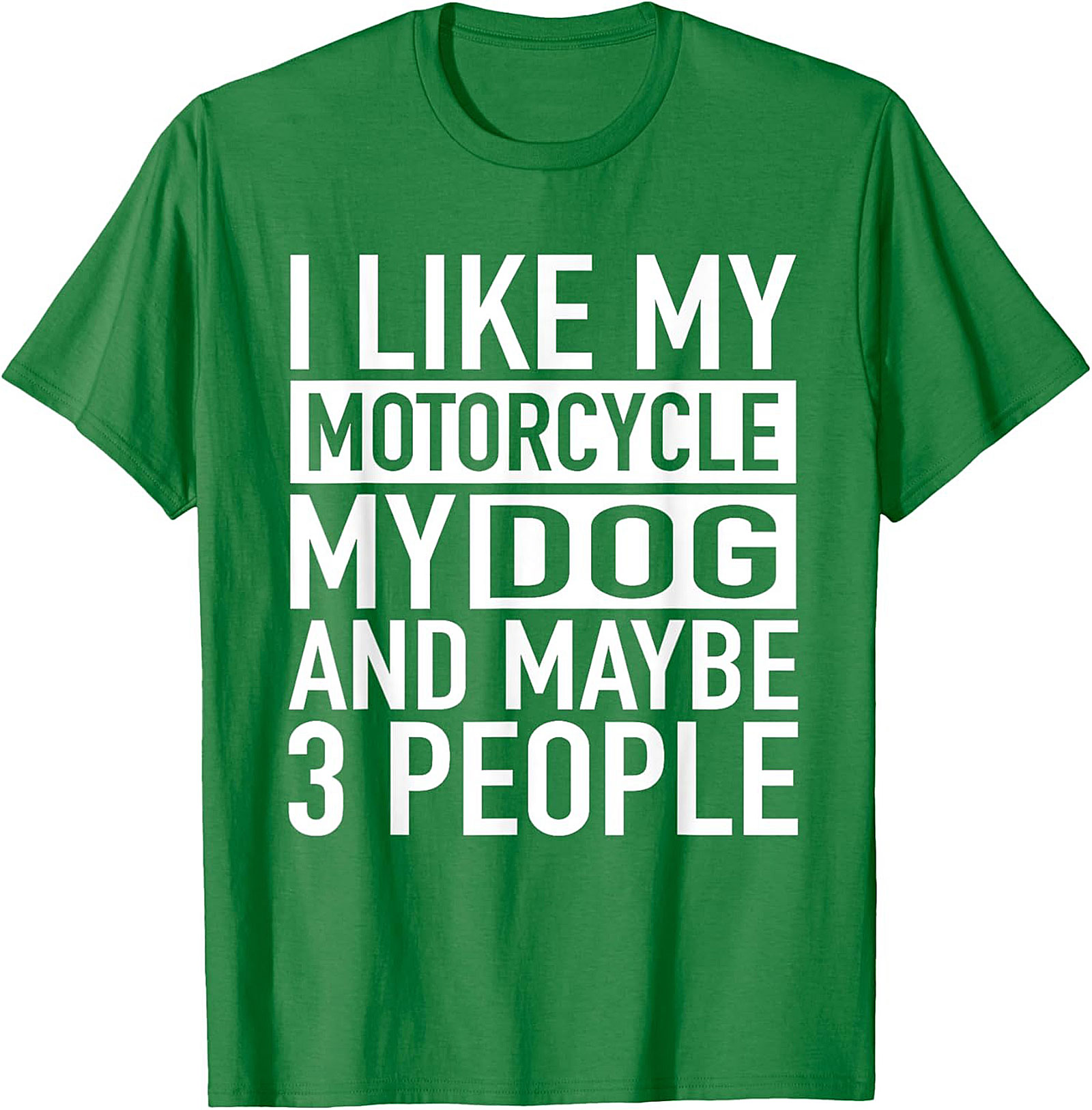 I Like My Motorcycle My Dog and Maybe 3 People T-Shirt | Funny Biker Graphic Tee