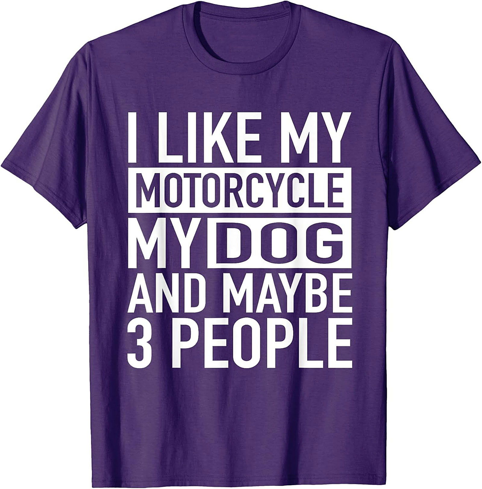 I Like My Motorcycle My Dog and Maybe 3 People T-Shirt | Funny Biker Graphic Tee