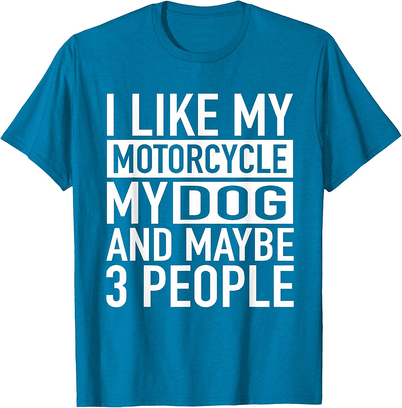 I Like My Motorcycle My Dog and Maybe 3 People T-Shirt | Funny Biker Graphic Tee