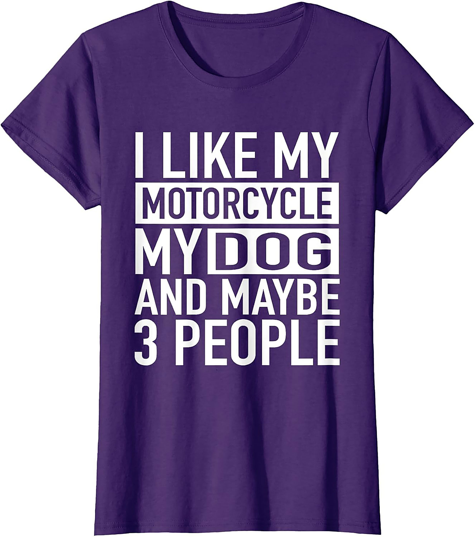 I Like My Motorcycle My Dog and Maybe 3 People T-Shirt | Funny Biker Graphic Tee