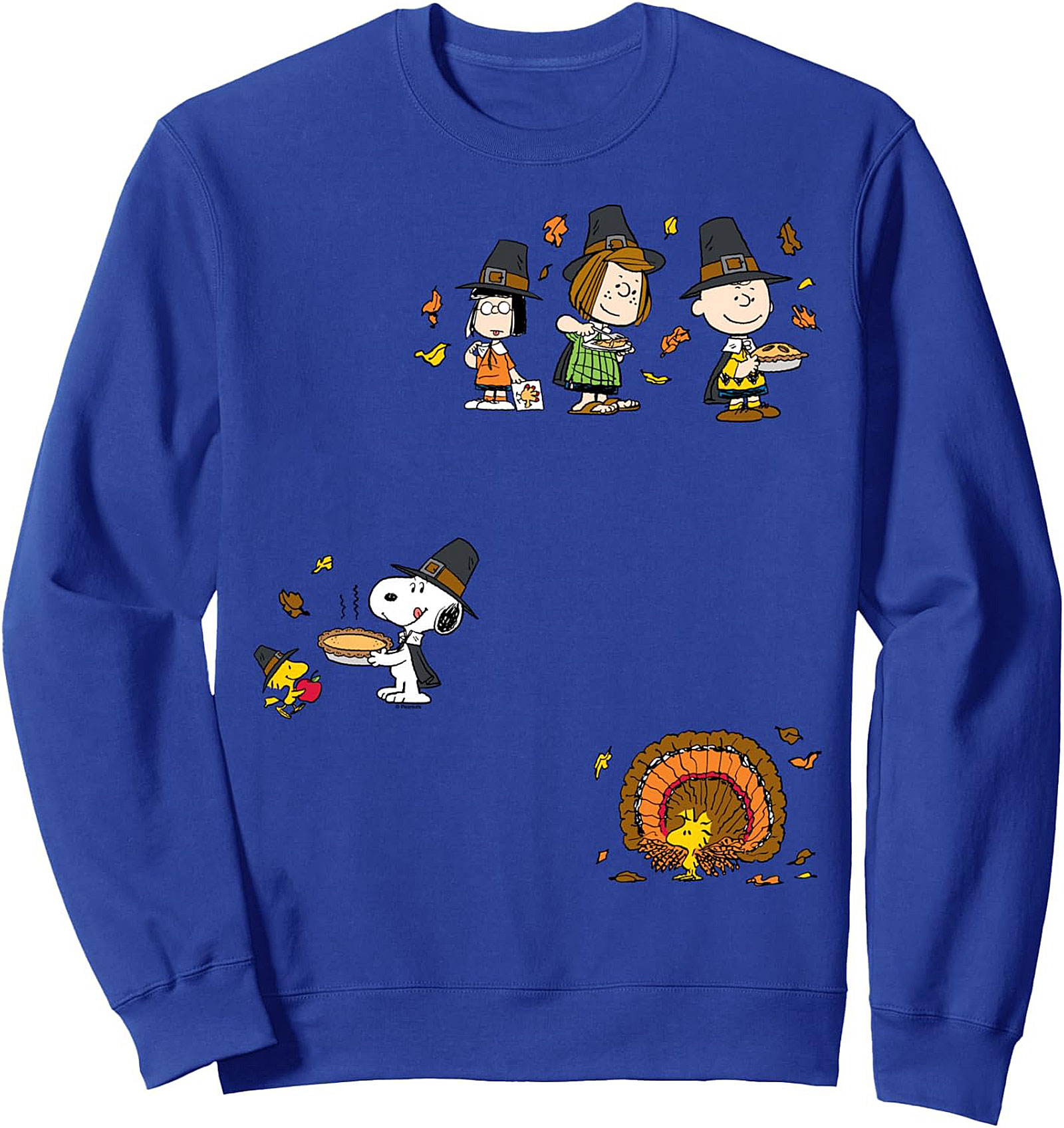 Cozy Peanuts Thanksgiving Graphic Sweatshirt | Gift Idea