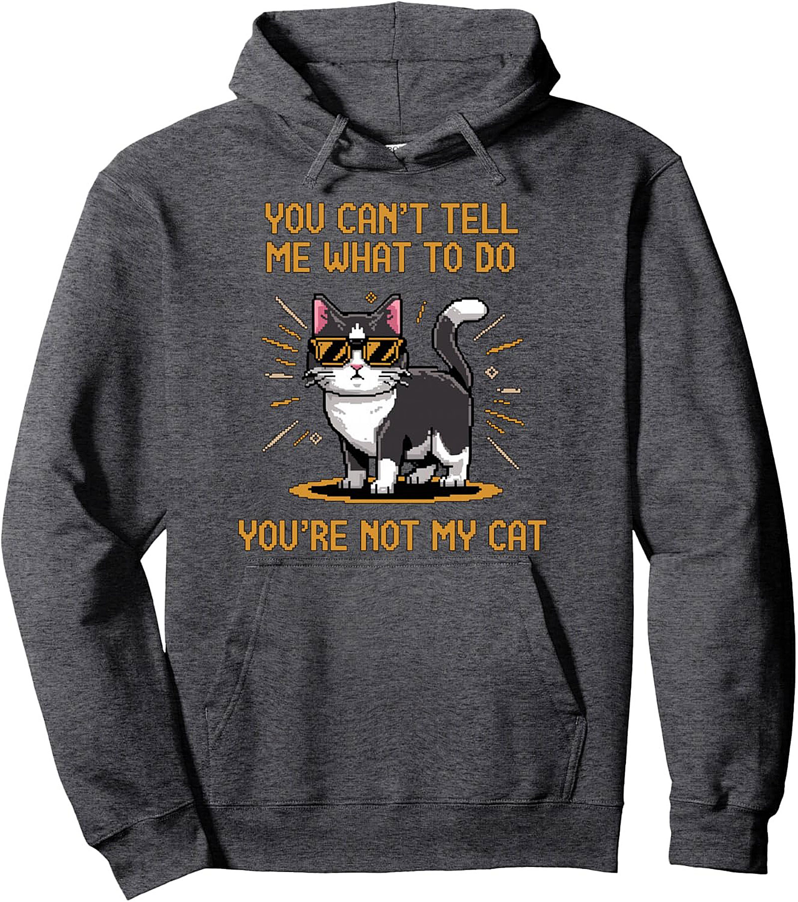 You're Not My Cat Sarcastic Graphic Pullover Hoodie