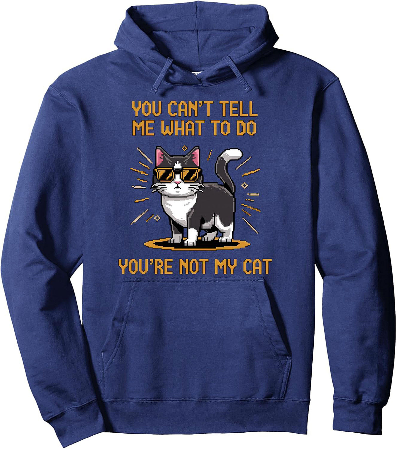 You're Not My Cat Sarcastic Graphic Pullover Hoodie