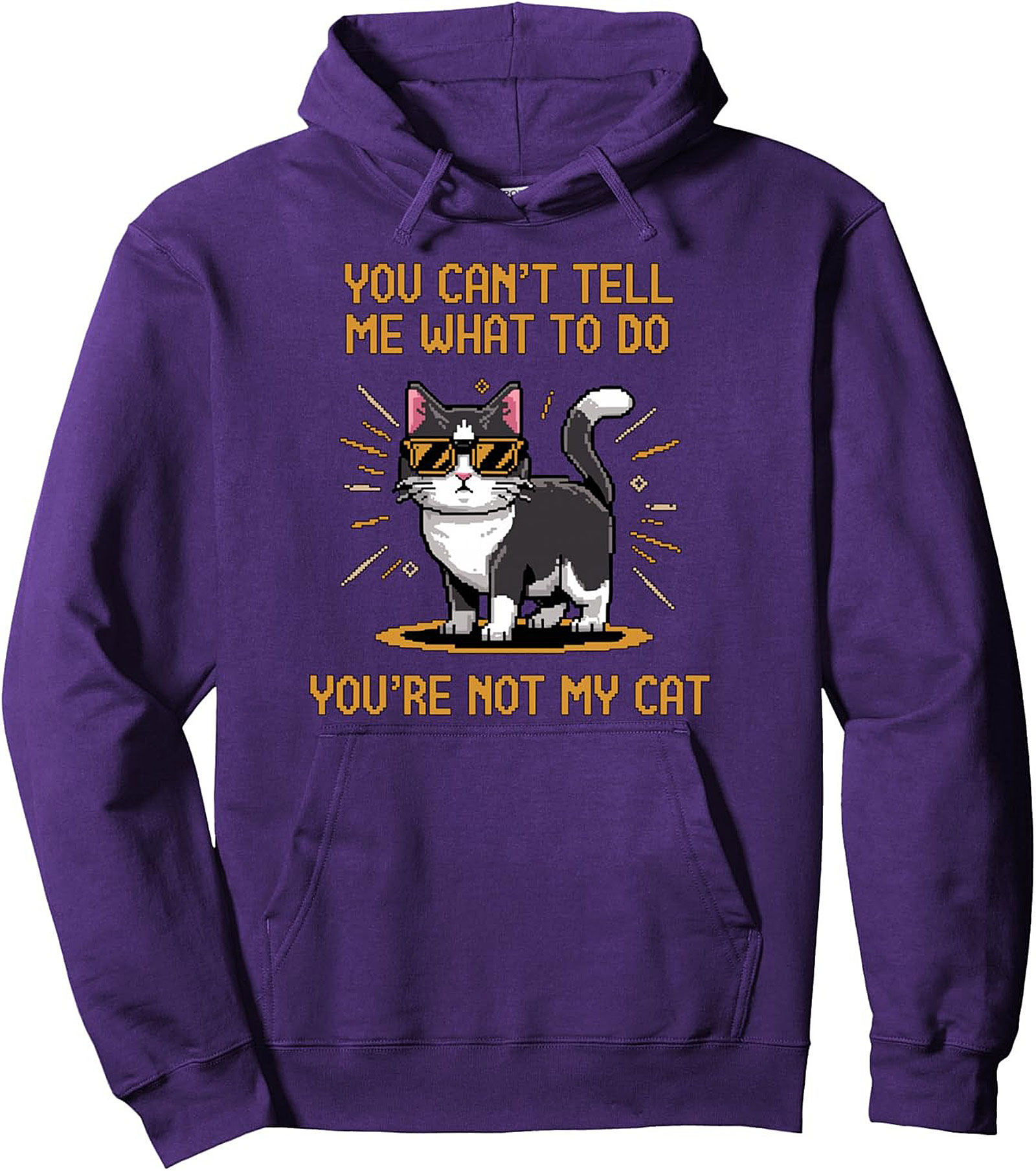 You're Not My Cat Sarcastic Graphic Pullover Hoodie