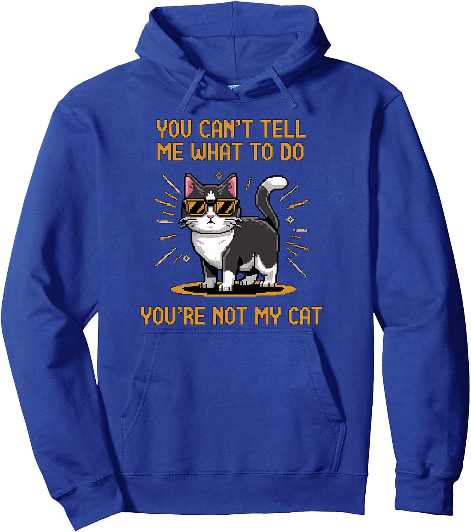 You're Not My Cat Sarcastic Graphic Pullover Hoodie
