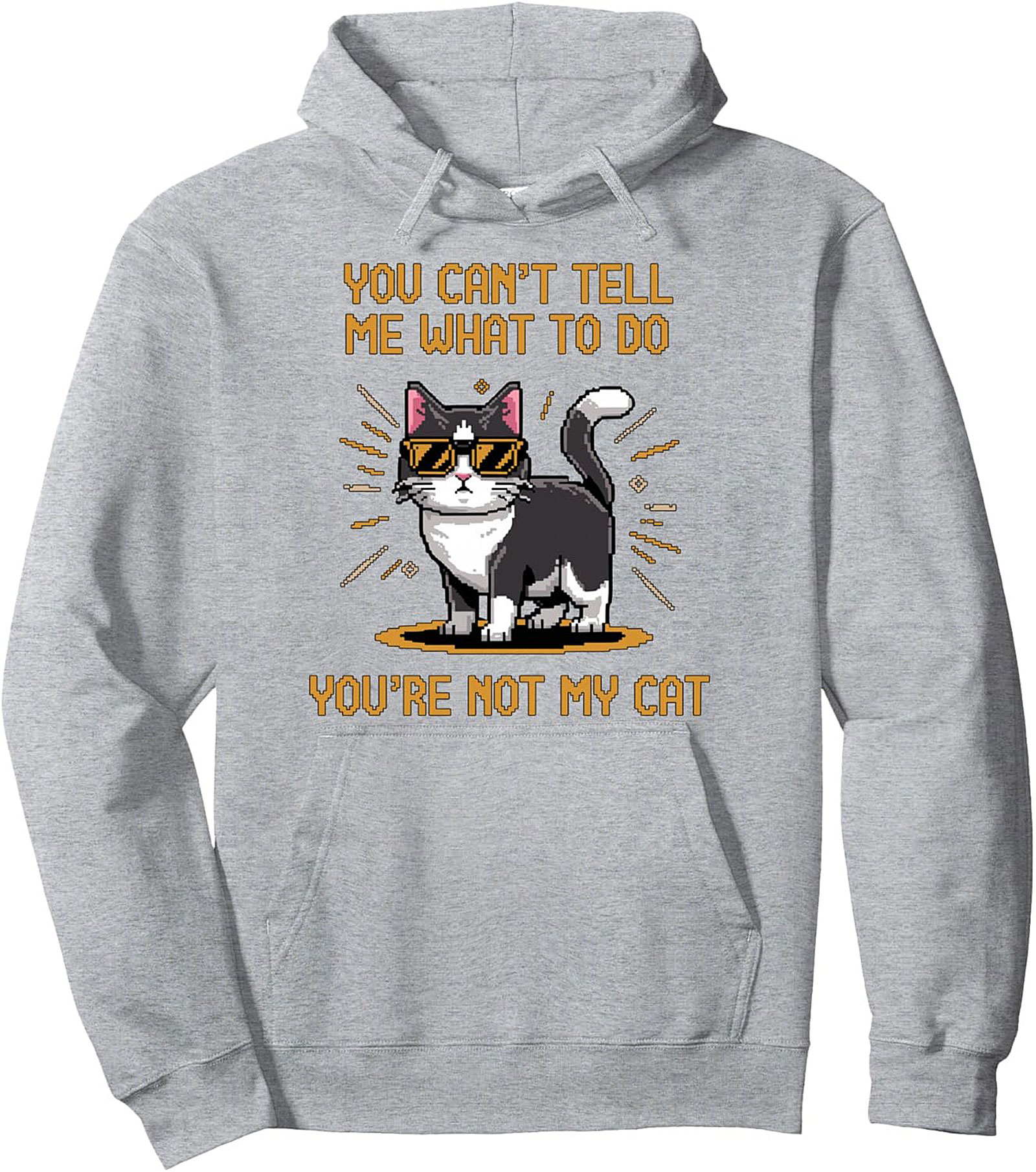 You're Not My Cat Sarcastic Graphic Pullover Hoodie