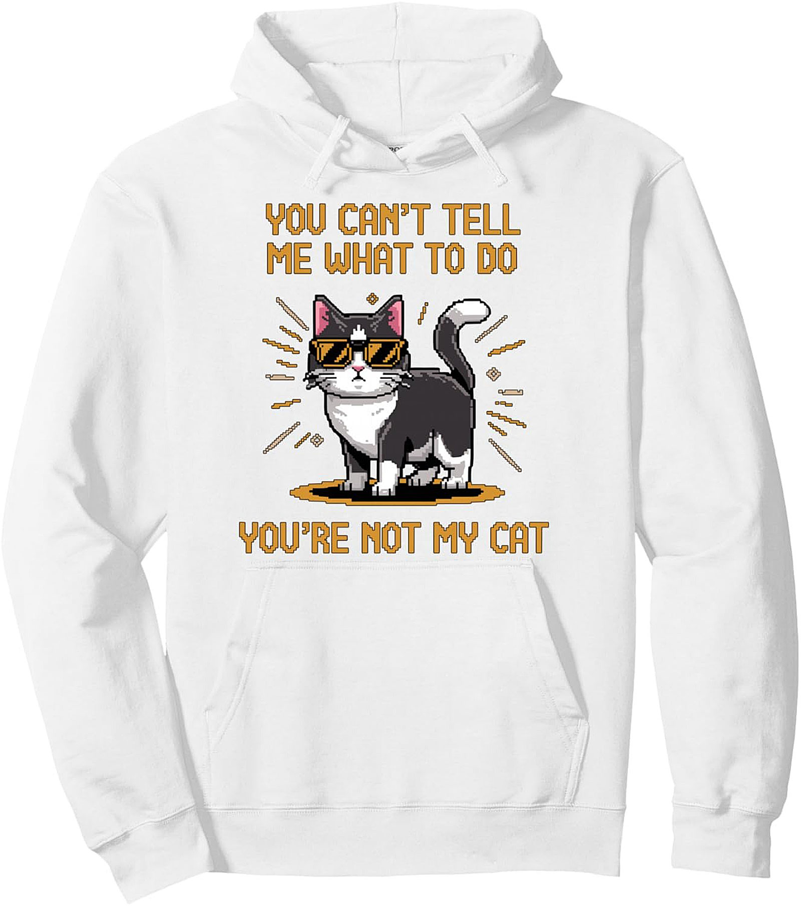 You're Not My Cat Sarcastic Graphic Pullover Hoodie