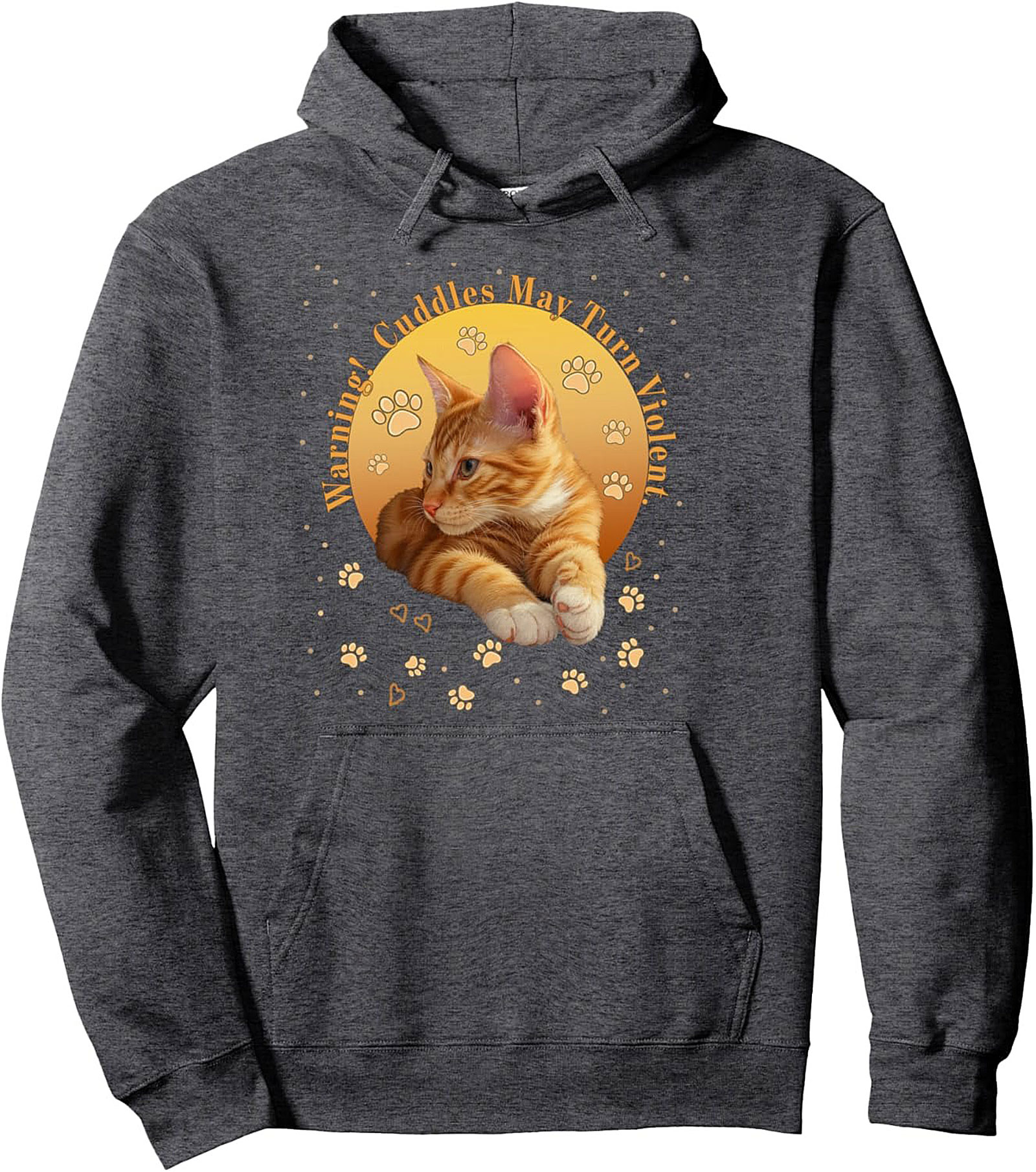 Funny Ginger Cat Graphic Hoodie Cozy Pullover Gift Idea