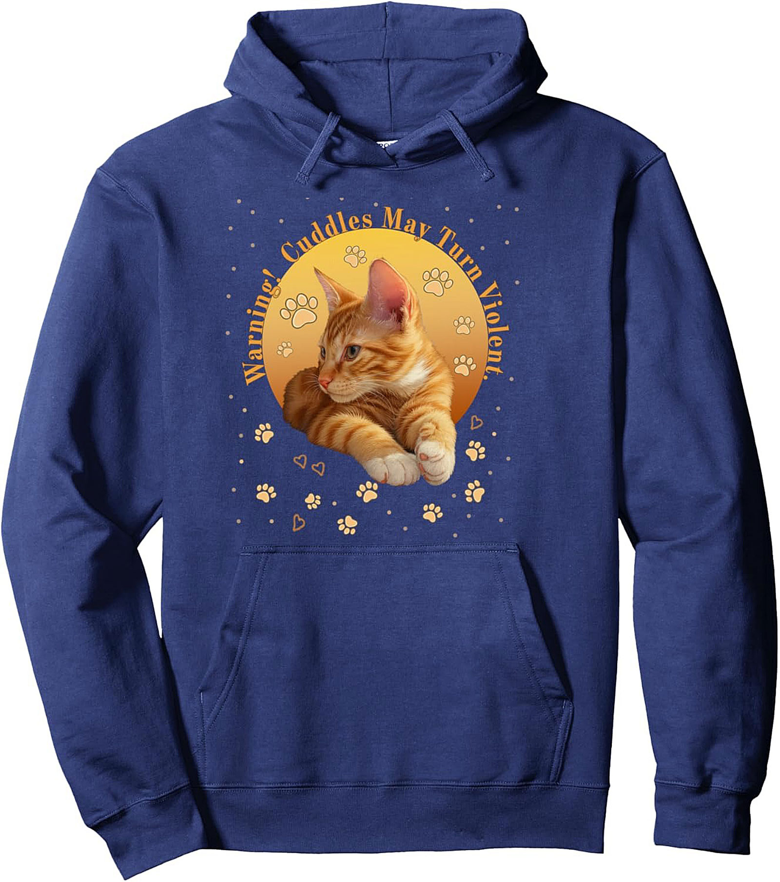 Funny Ginger Cat Graphic Hoodie Cozy Pullover Gift Idea