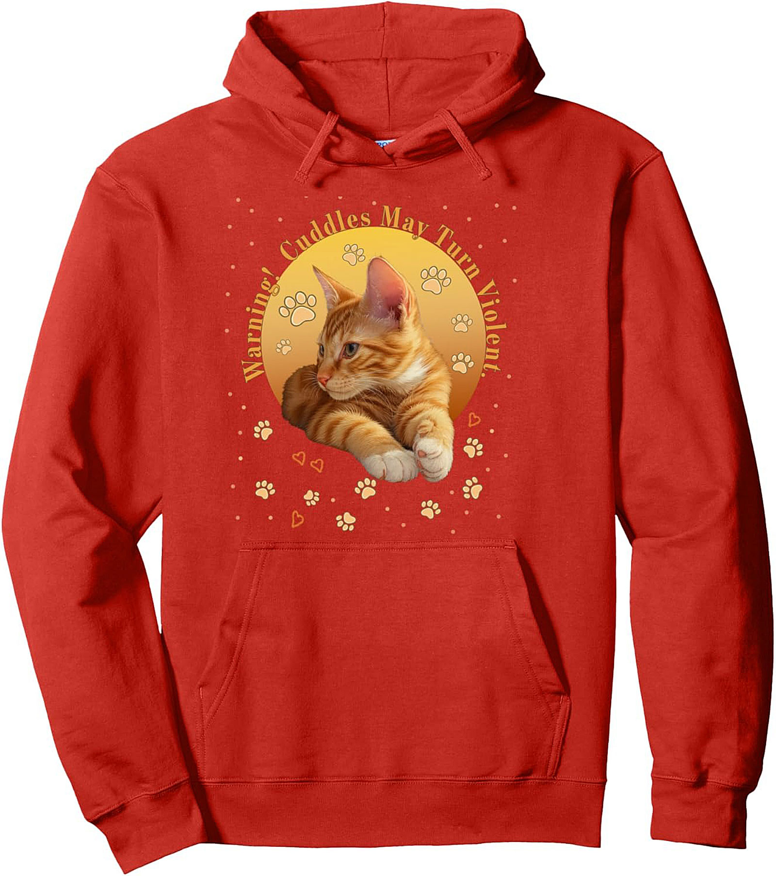 Funny Ginger Cat Graphic Hoodie Cozy Pullover Gift Idea