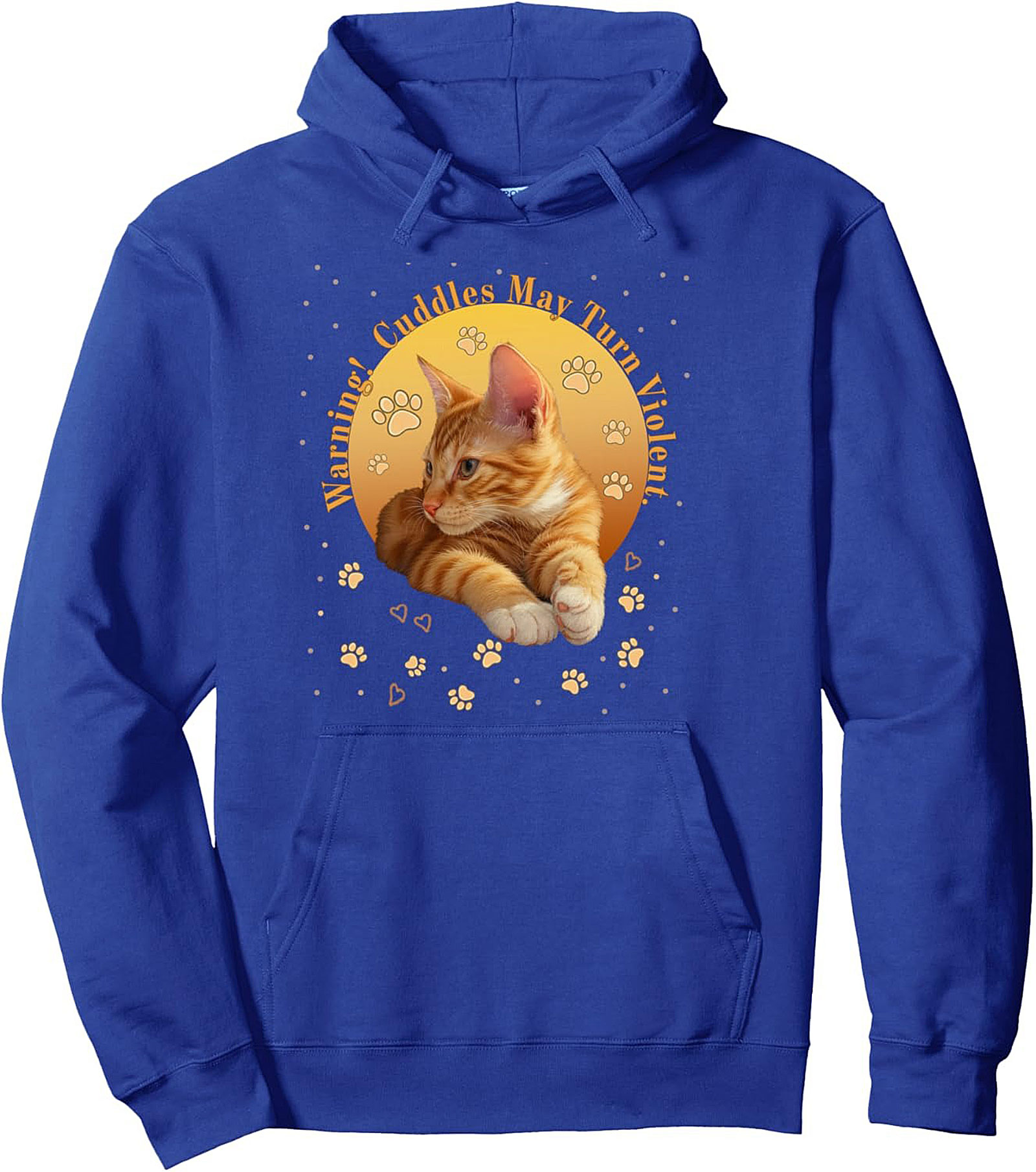 Funny Ginger Cat Graphic Hoodie Cozy Pullover Gift Idea