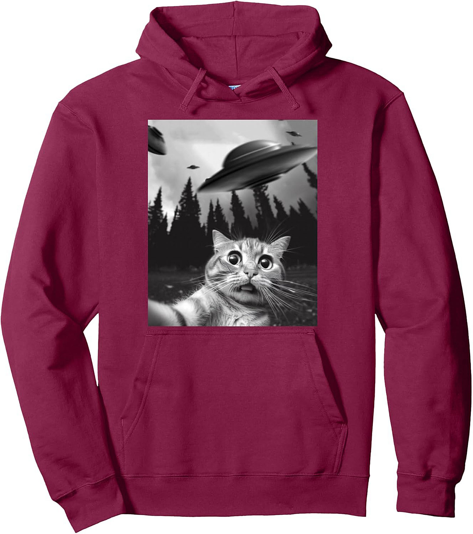 Alien Abduction Cat Selfie Graphic Hoodie Cozy Pullover