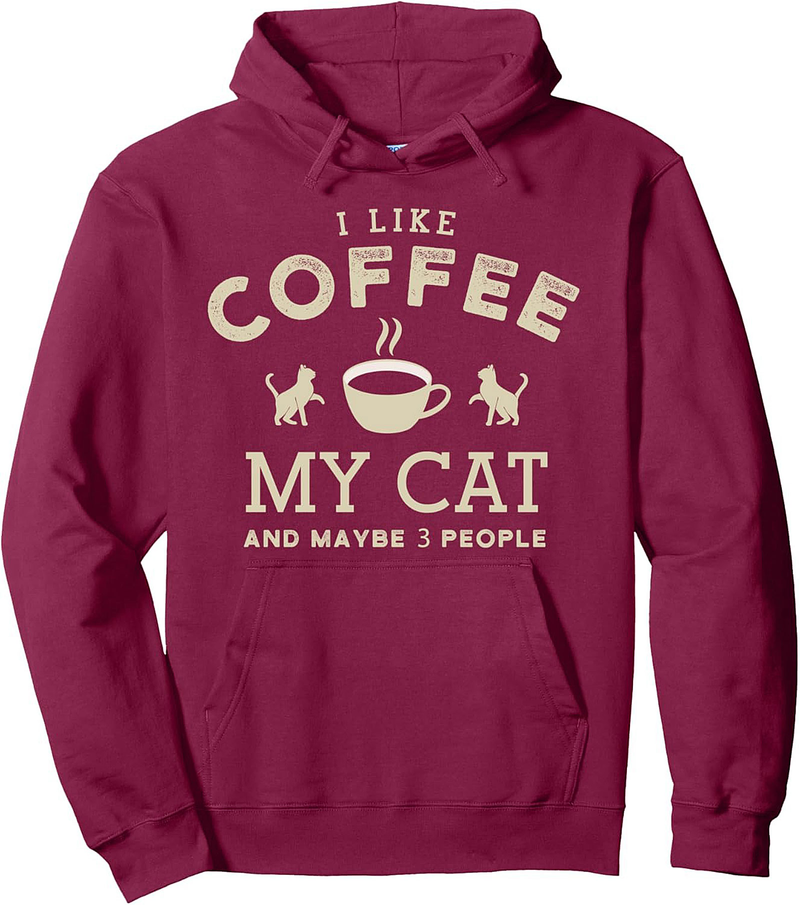 Cat Lover Coffee Graphic Hoodie Introvert Pullover