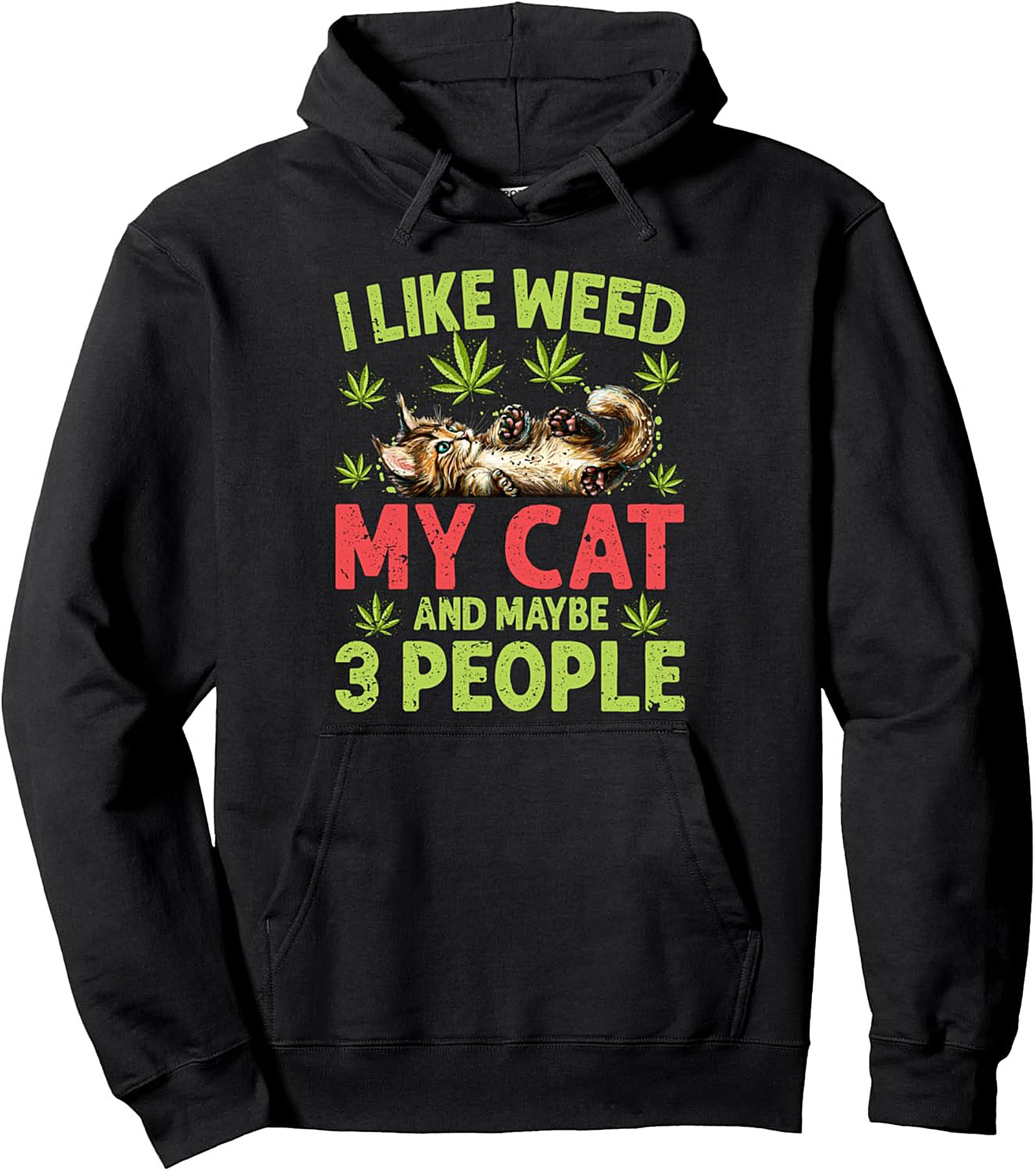 Weed Cat Pullover Hoodie Introvert Graphic Hoodie Gift