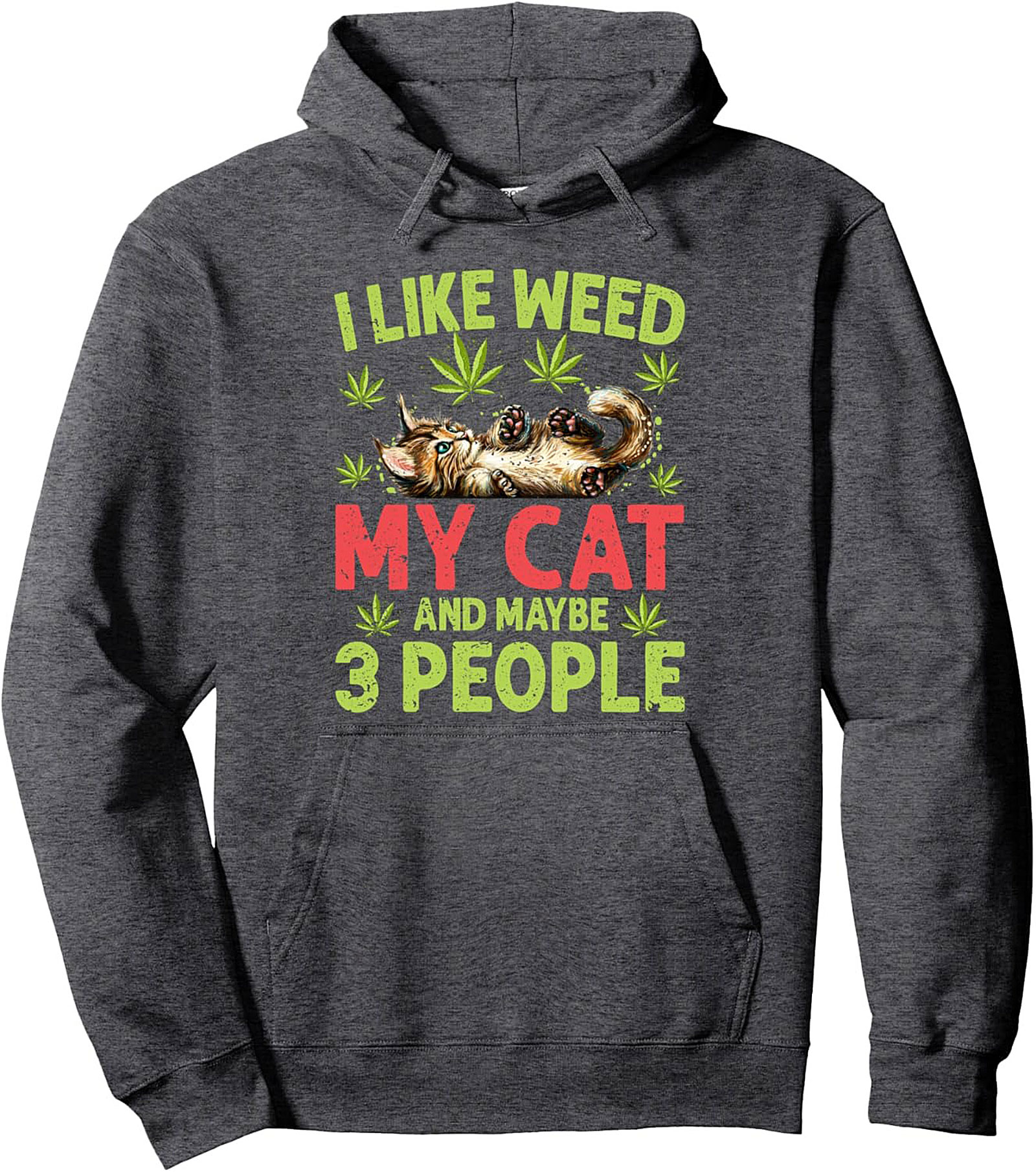 Weed Cat Pullover Hoodie Introvert Graphic Hoodie Gift