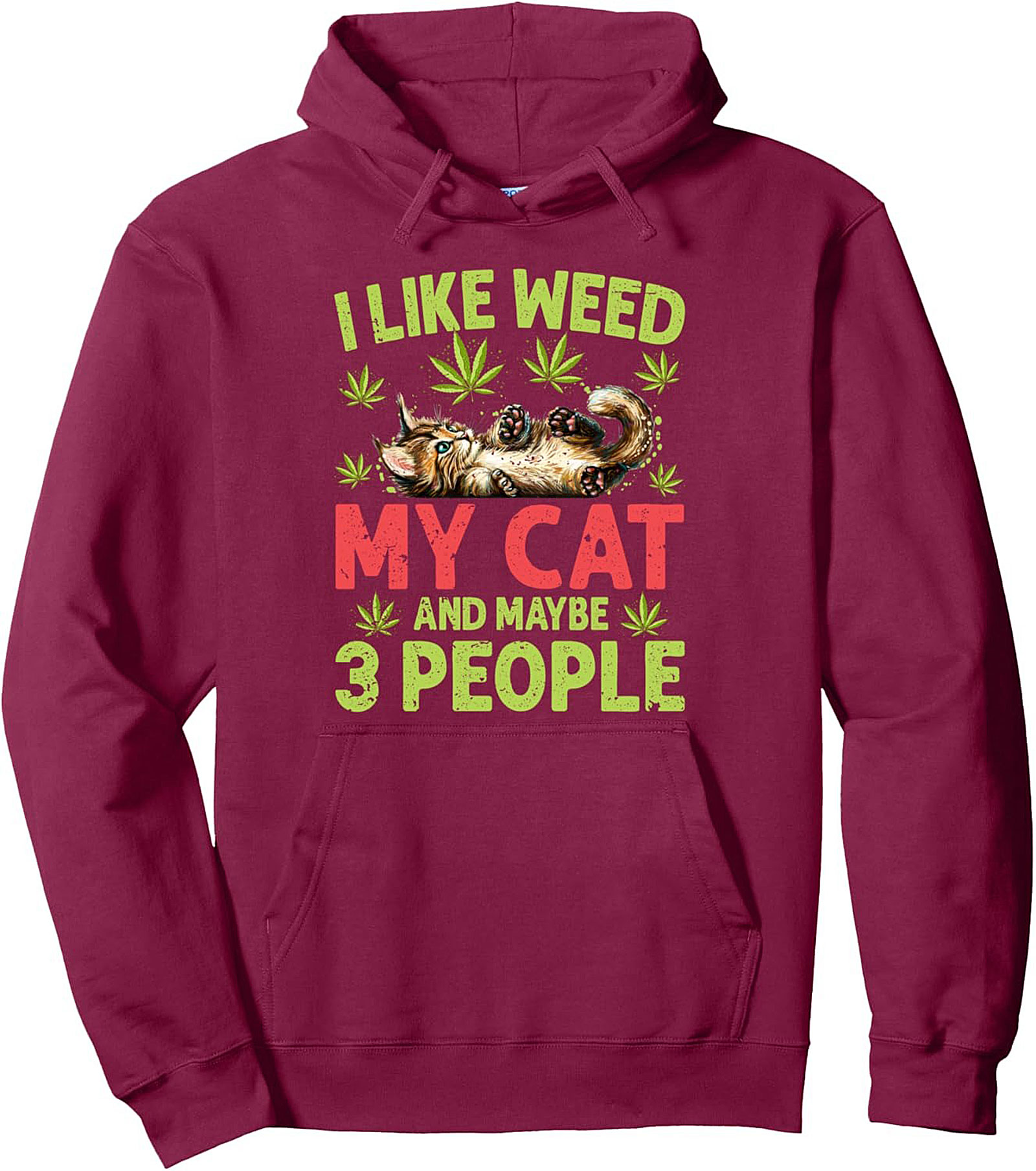 Weed Cat Pullover Hoodie Introvert Graphic Hoodie Gift