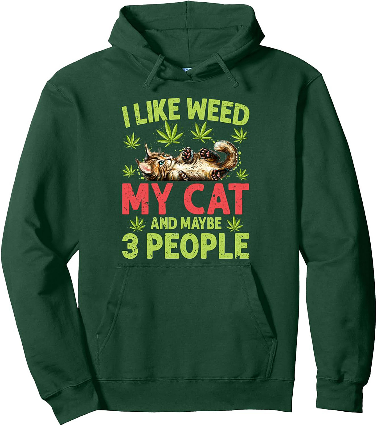 Weed Cat Pullover Hoodie Introvert Graphic Hoodie Gift