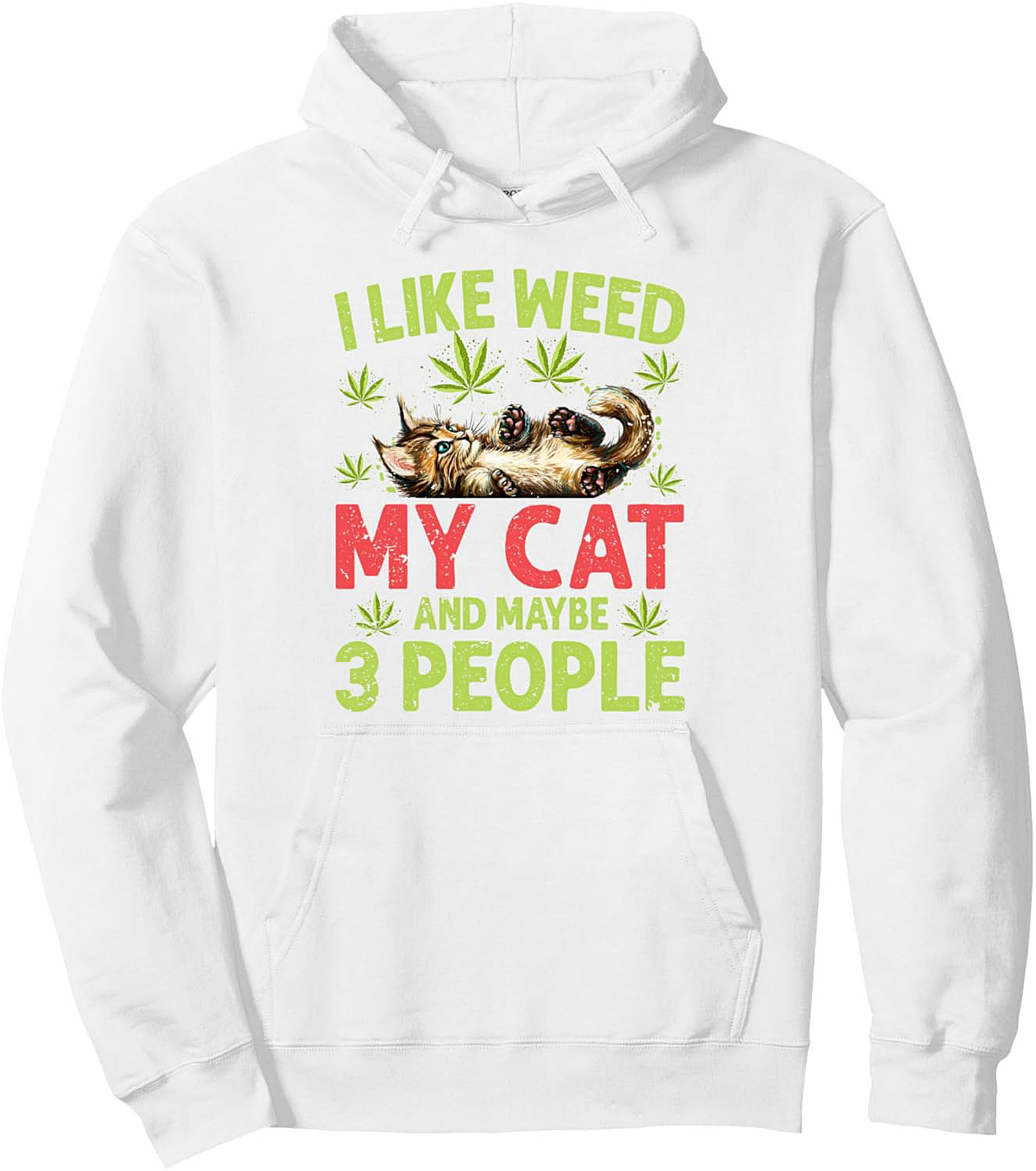 Weed Cat Pullover Hoodie Introvert Graphic Hoodie Gift