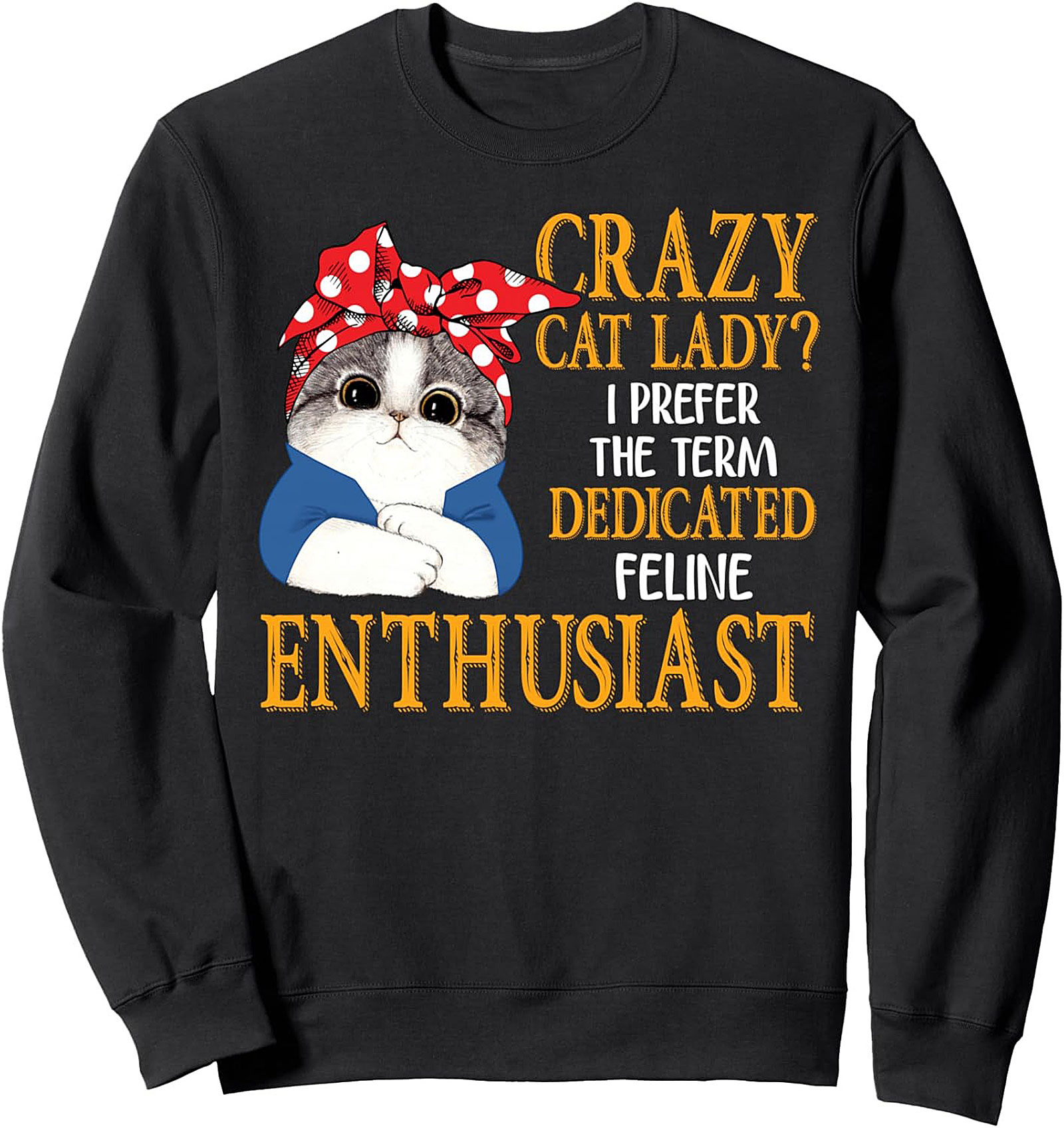 Cozy Dedicated Feline Enthusiast Sweatshirt Cat Lady Gift
