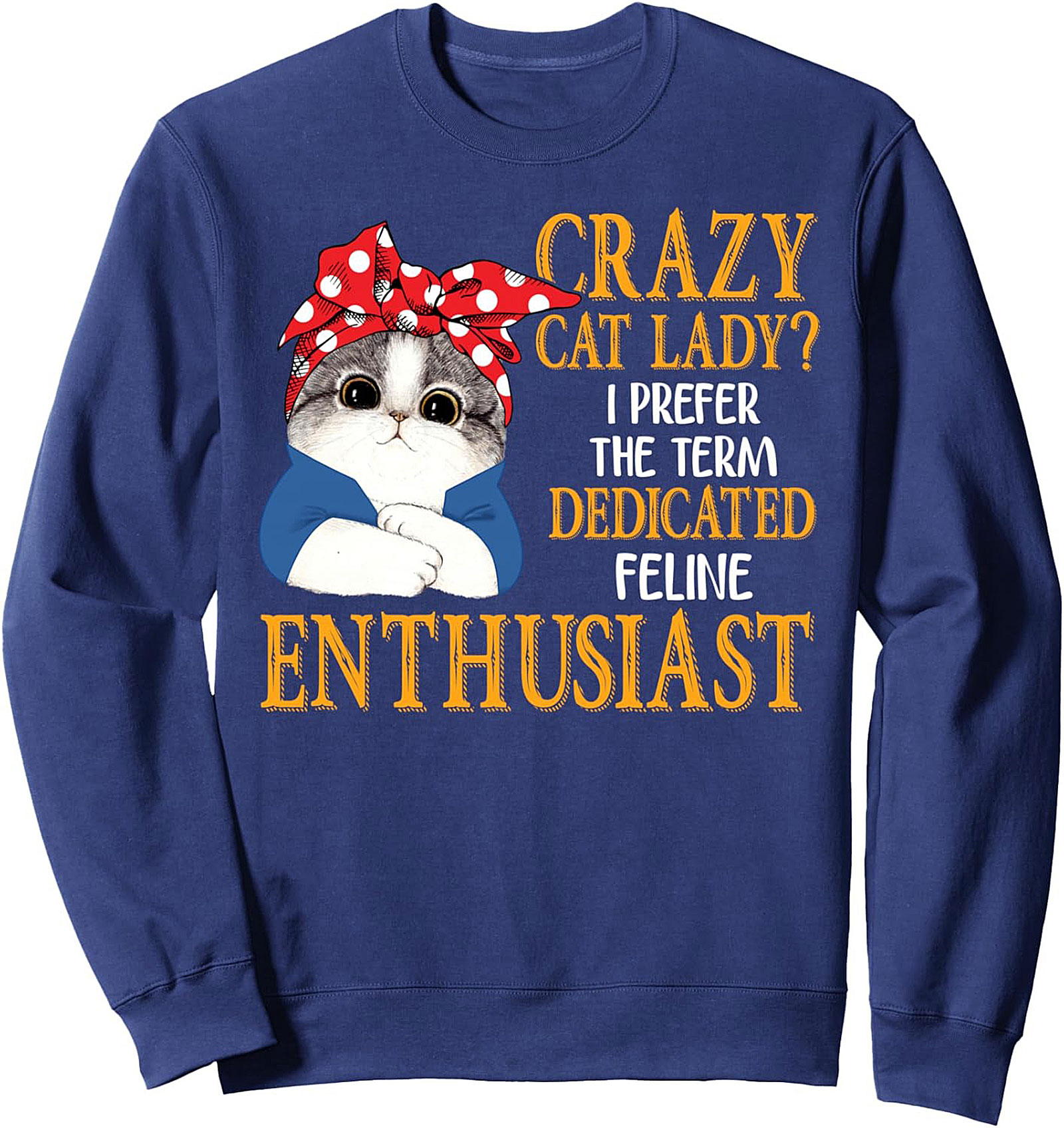 Cozy Dedicated Feline Enthusiast Sweatshirt Cat Lady Gift