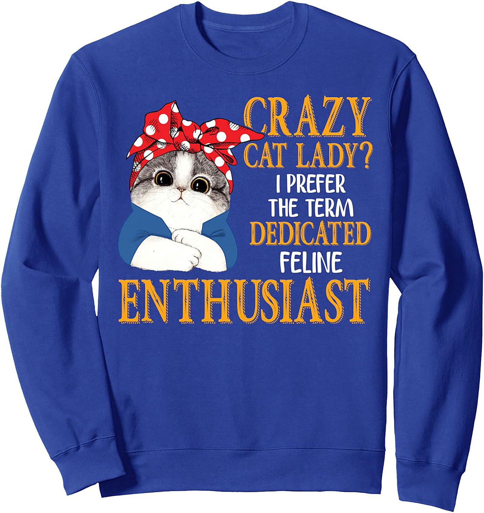 Cozy Dedicated Feline Enthusiast Sweatshirt Cat Lady Gift