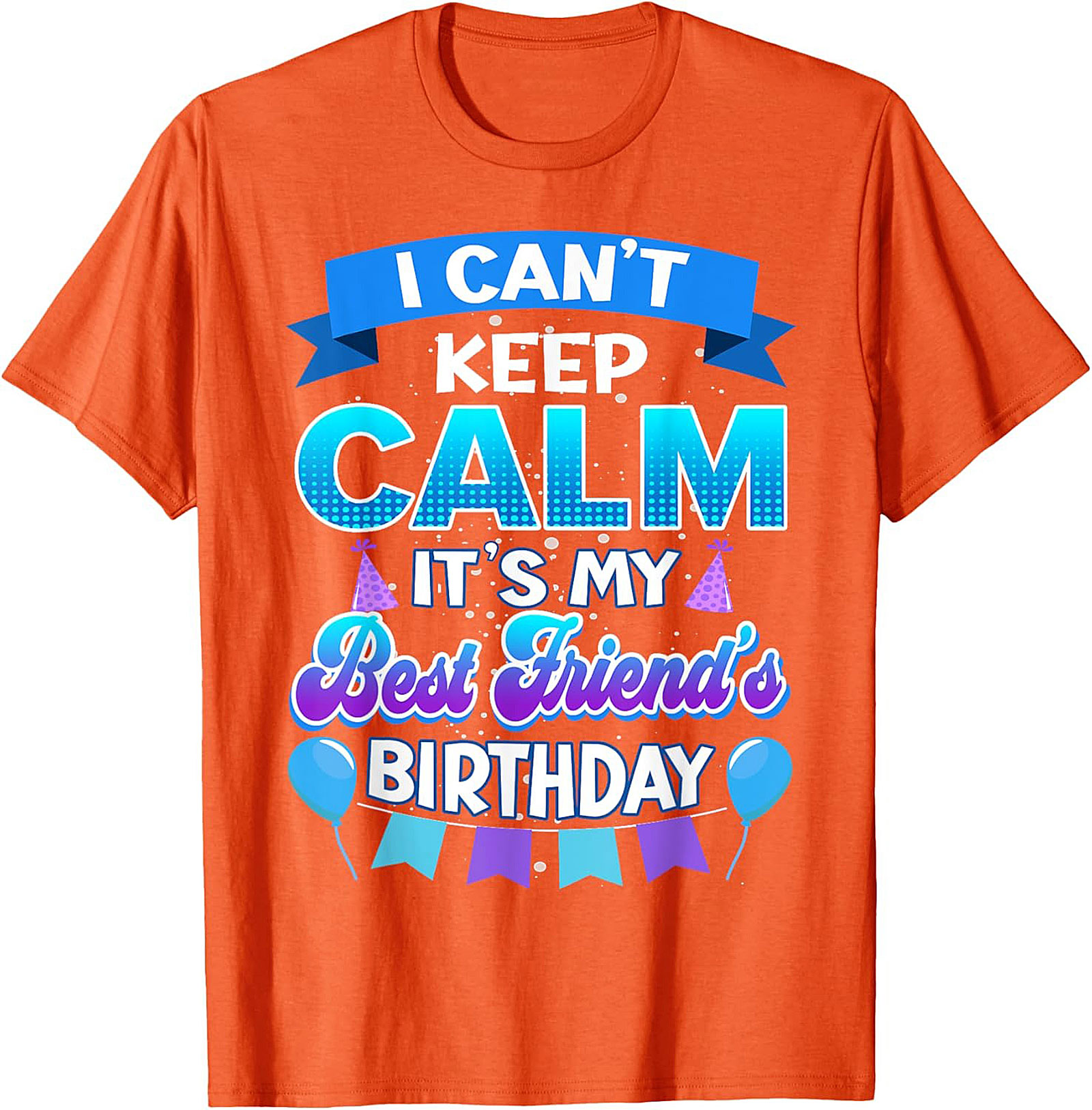 Best Friend Birthday Shirt | Funny Graphic Tee | Unisex Gift Idea
