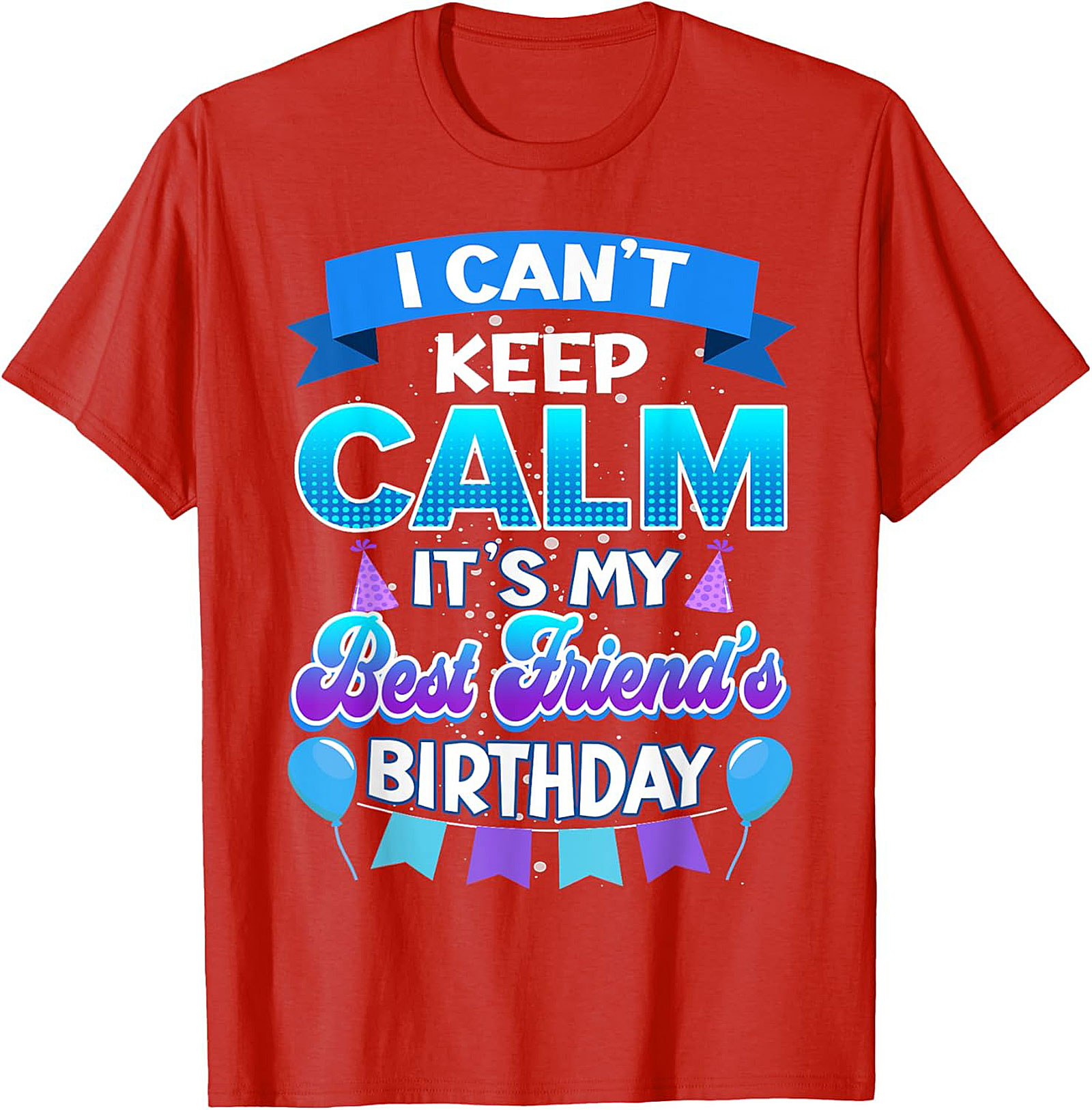 Best Friend Birthday Shirt | Funny Graphic Tee | Unisex Gift Idea