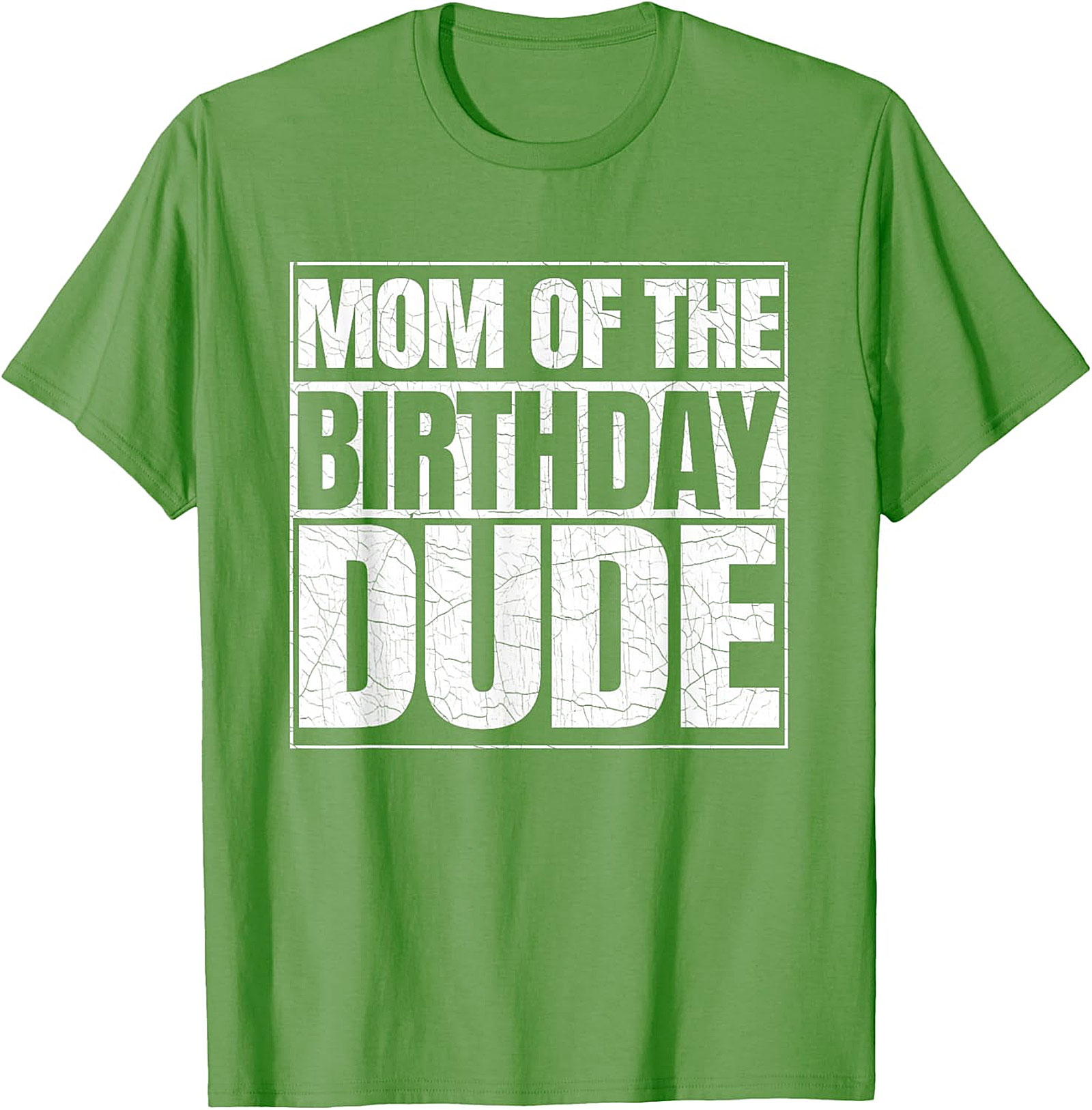  Mom of the Birthday Dude T-shirt Fun Mom Birthday Tee