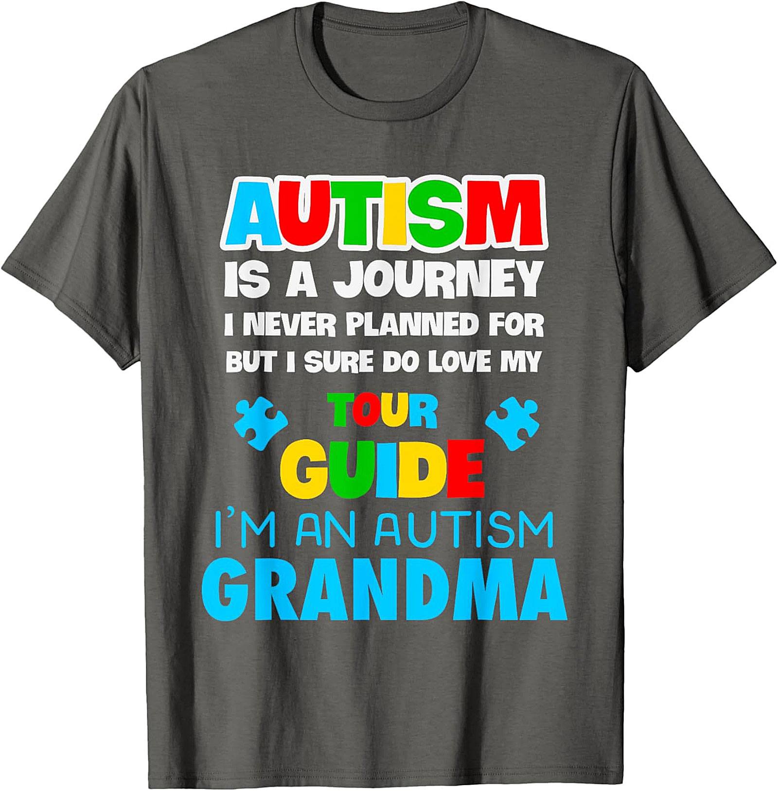 Autism Grandma T-Shirt | Love My Tour Guide Graphic Tee